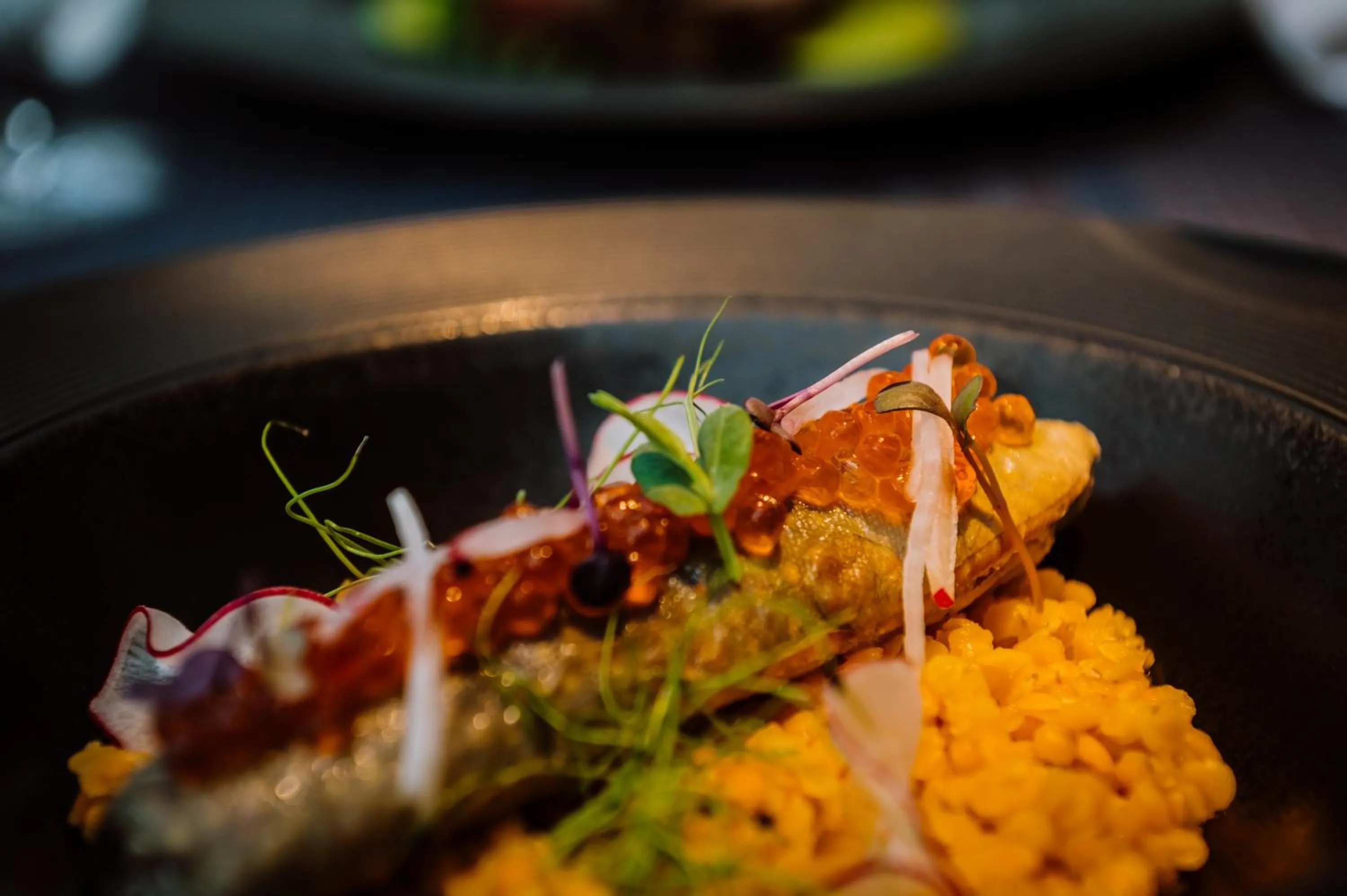 Food and drinks in Hotel Privo