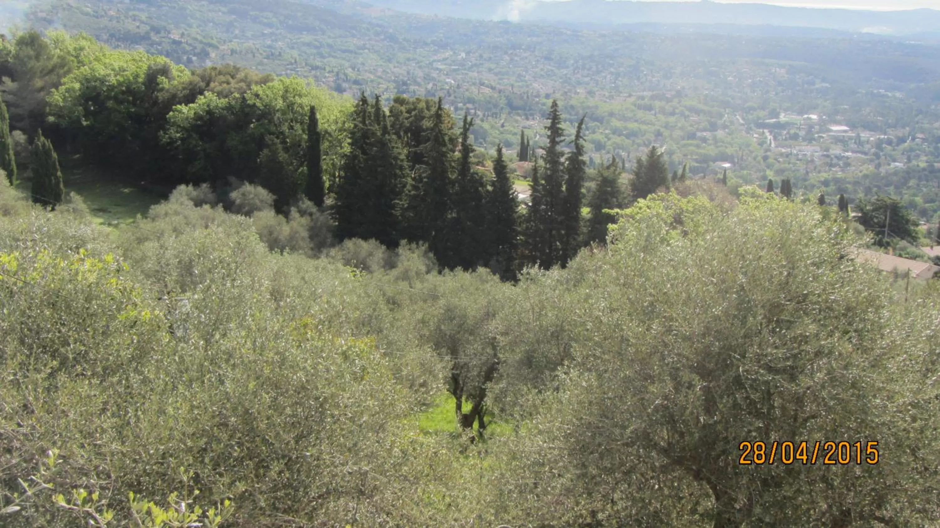 Spring in villa des oliviers