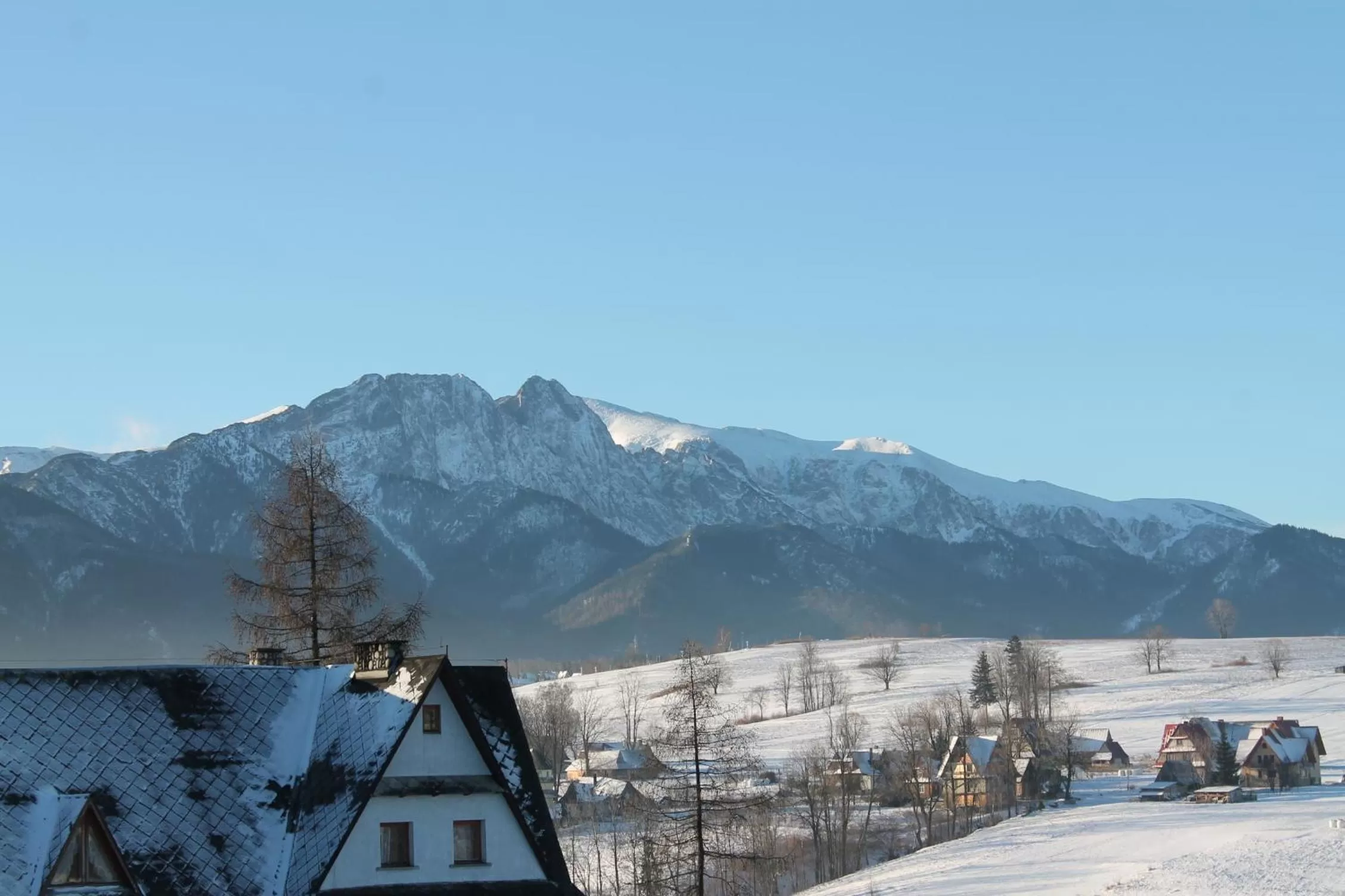 Natural landscape in Willa Grzesiczek