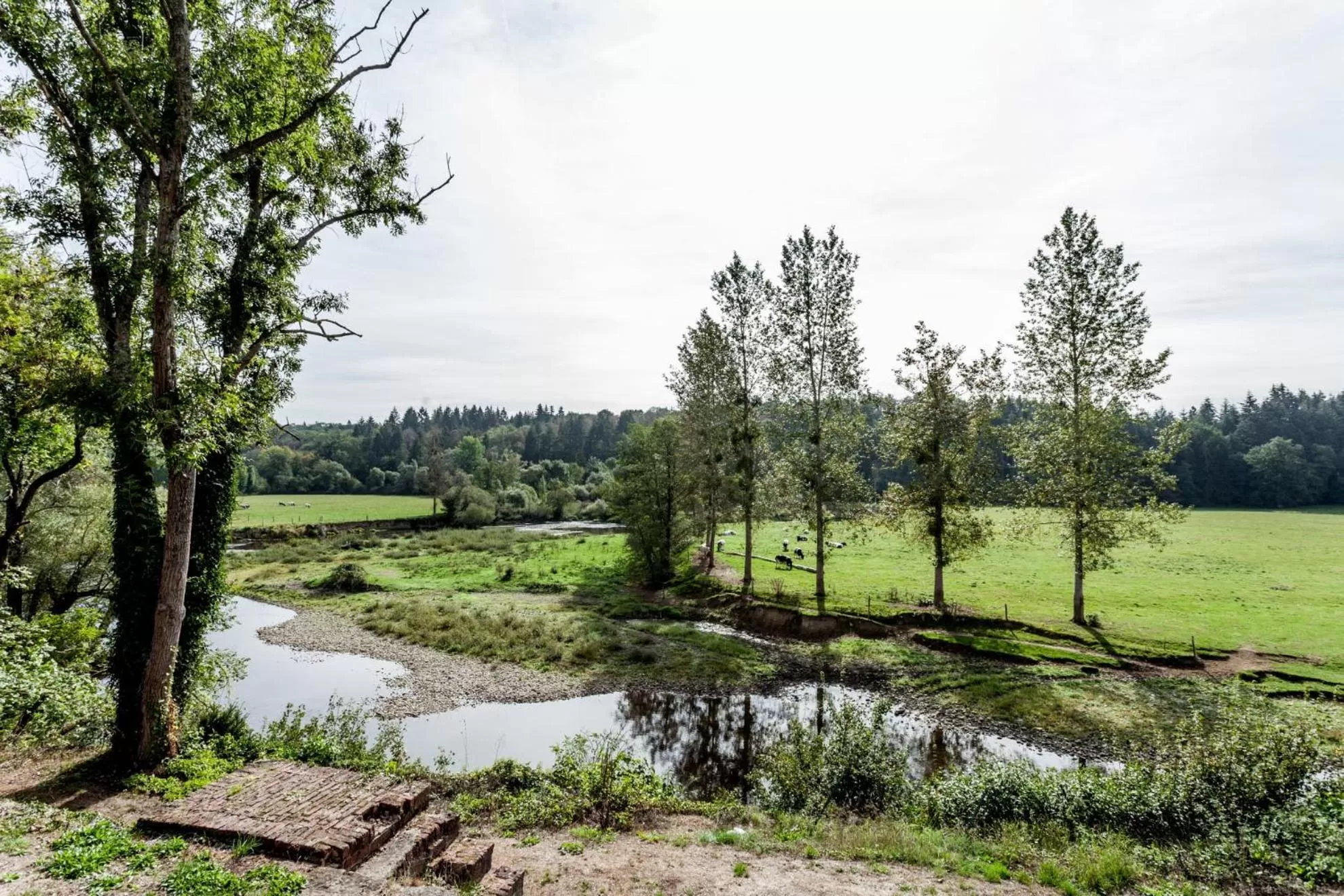 Natural landscape in Château de Vignée