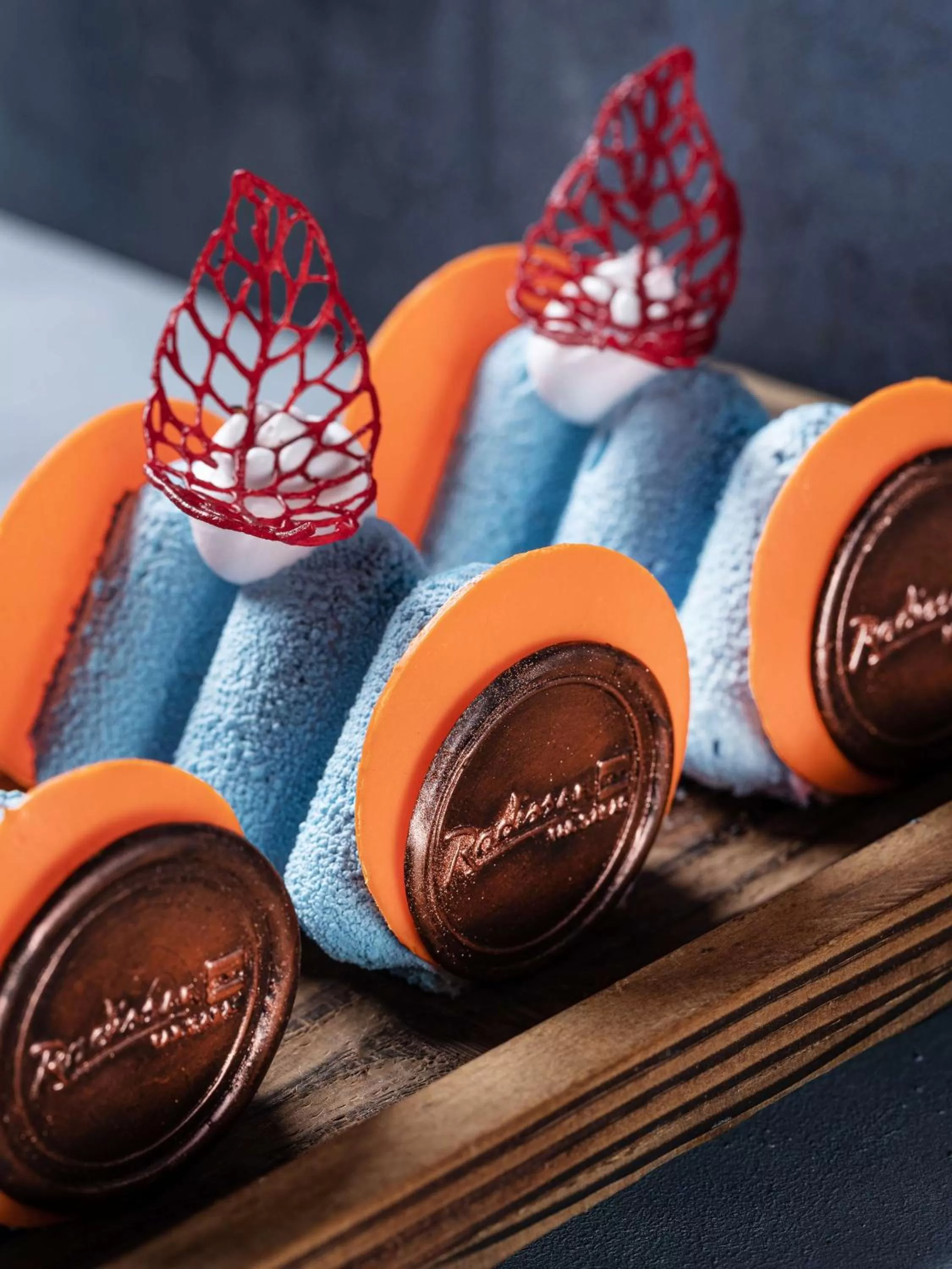 Other in Radisson Blu Faridabad