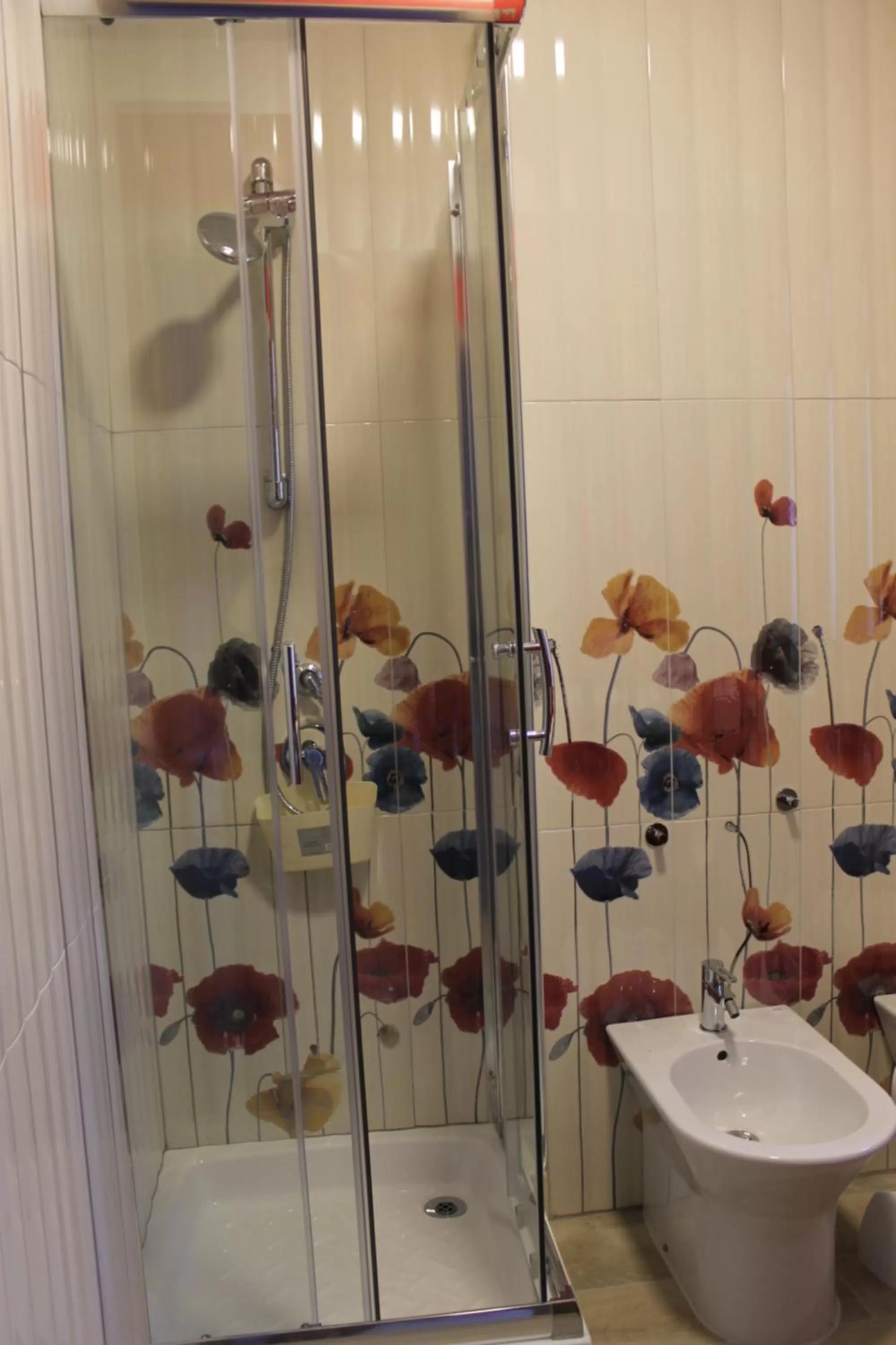 Shower in b&b Appiddaveru