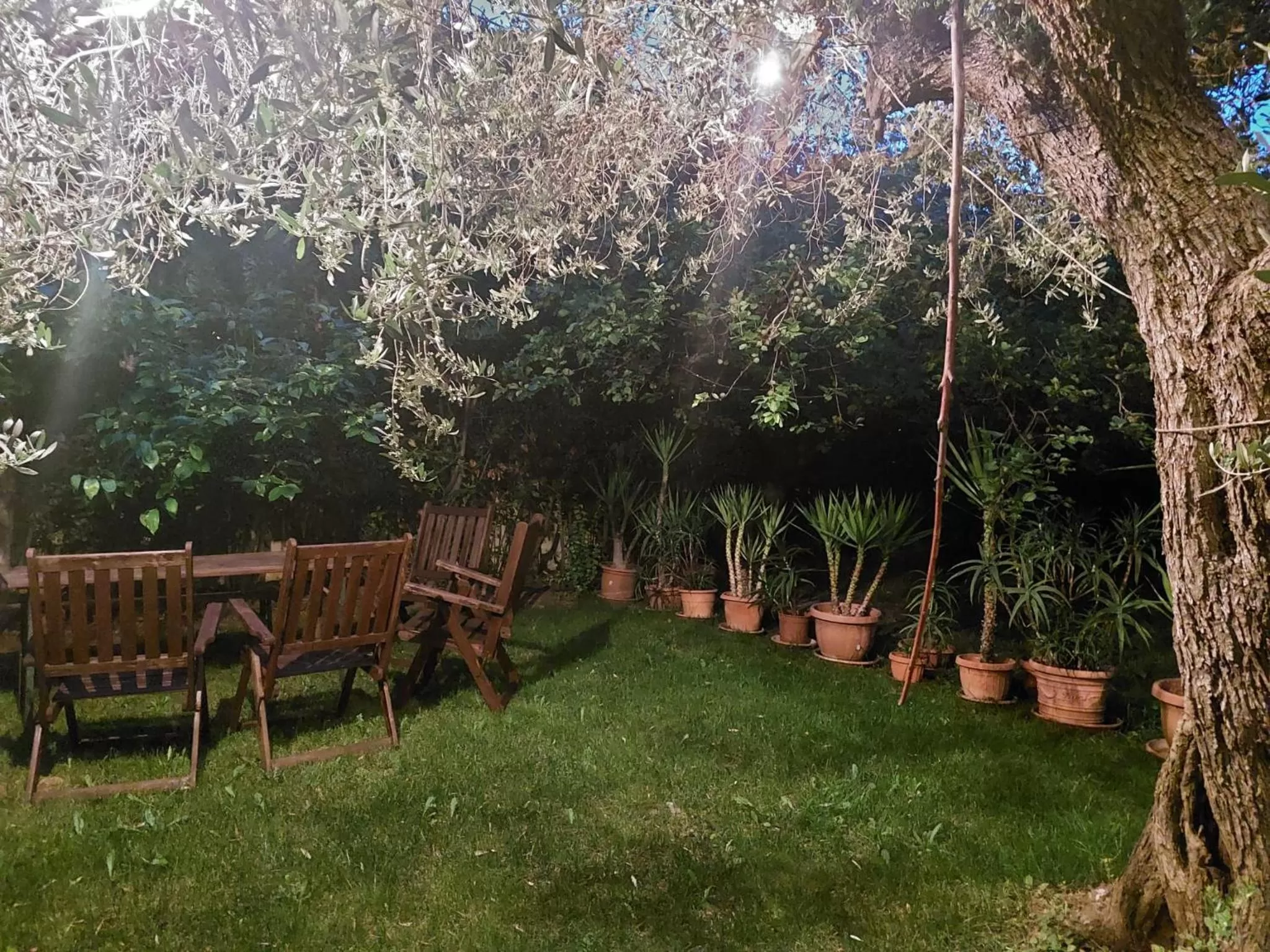 Garden in B&B Villa Mia