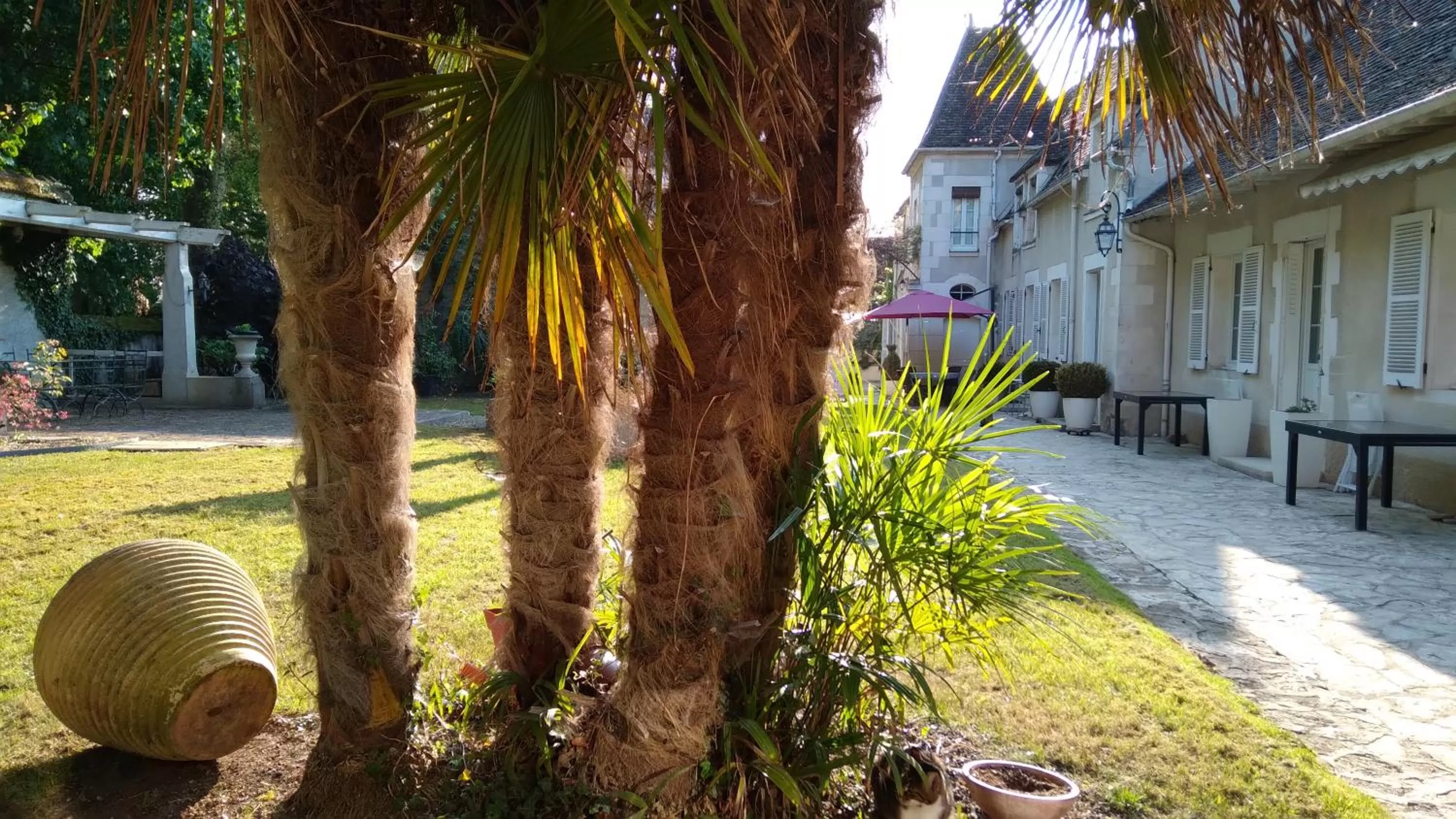 Garden in Chambres et Tables d'hôtes du Puits d'Athie