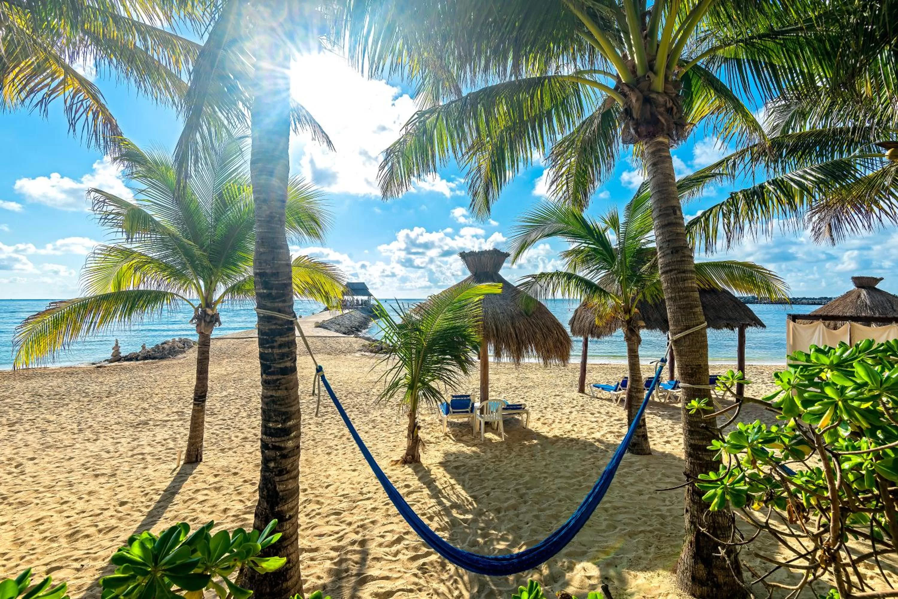 Day in Hotel Marina El Cid Spa & Beach Resort - All Inclusive