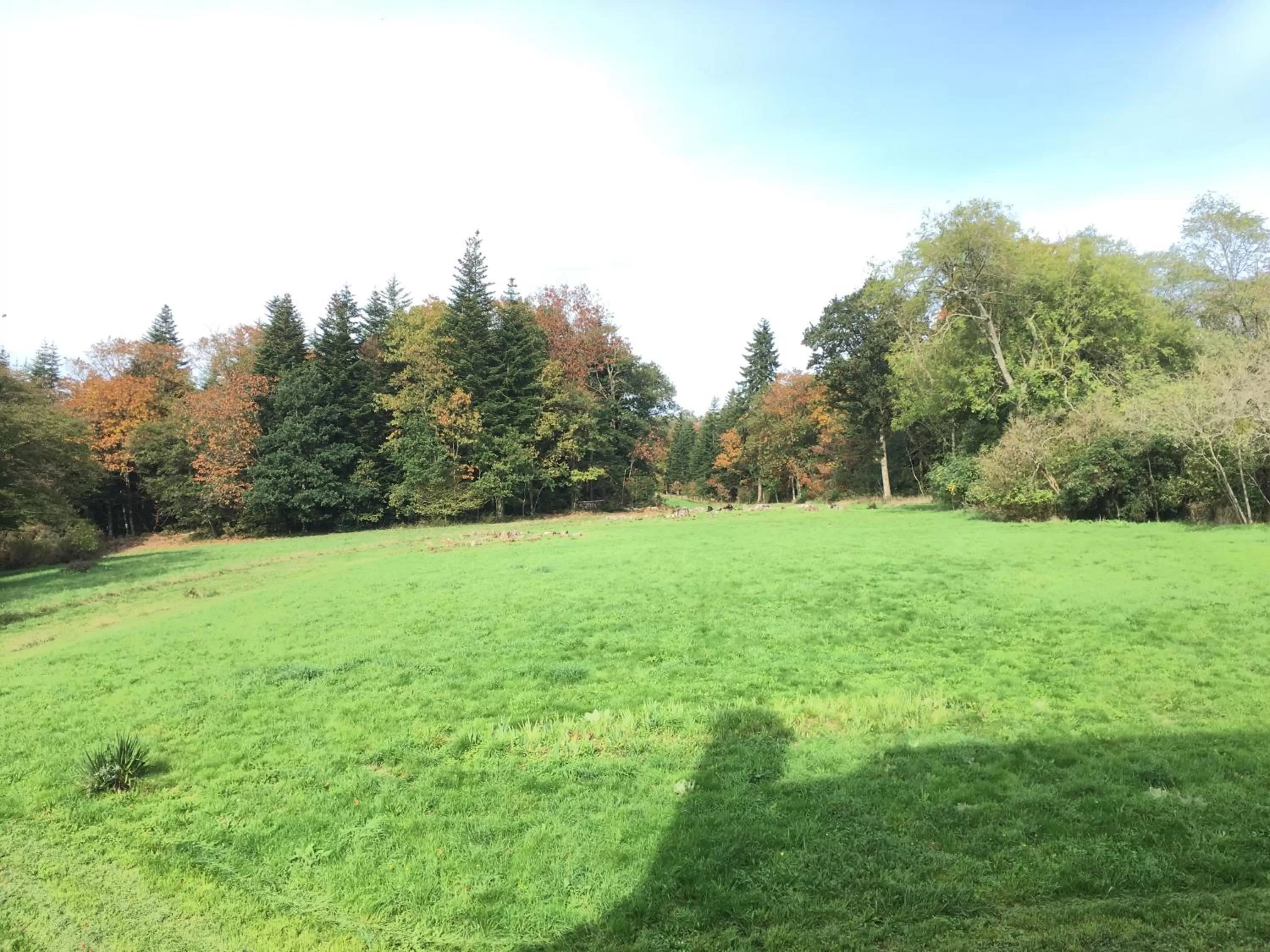 Garden view in Château de La Ville-Huë