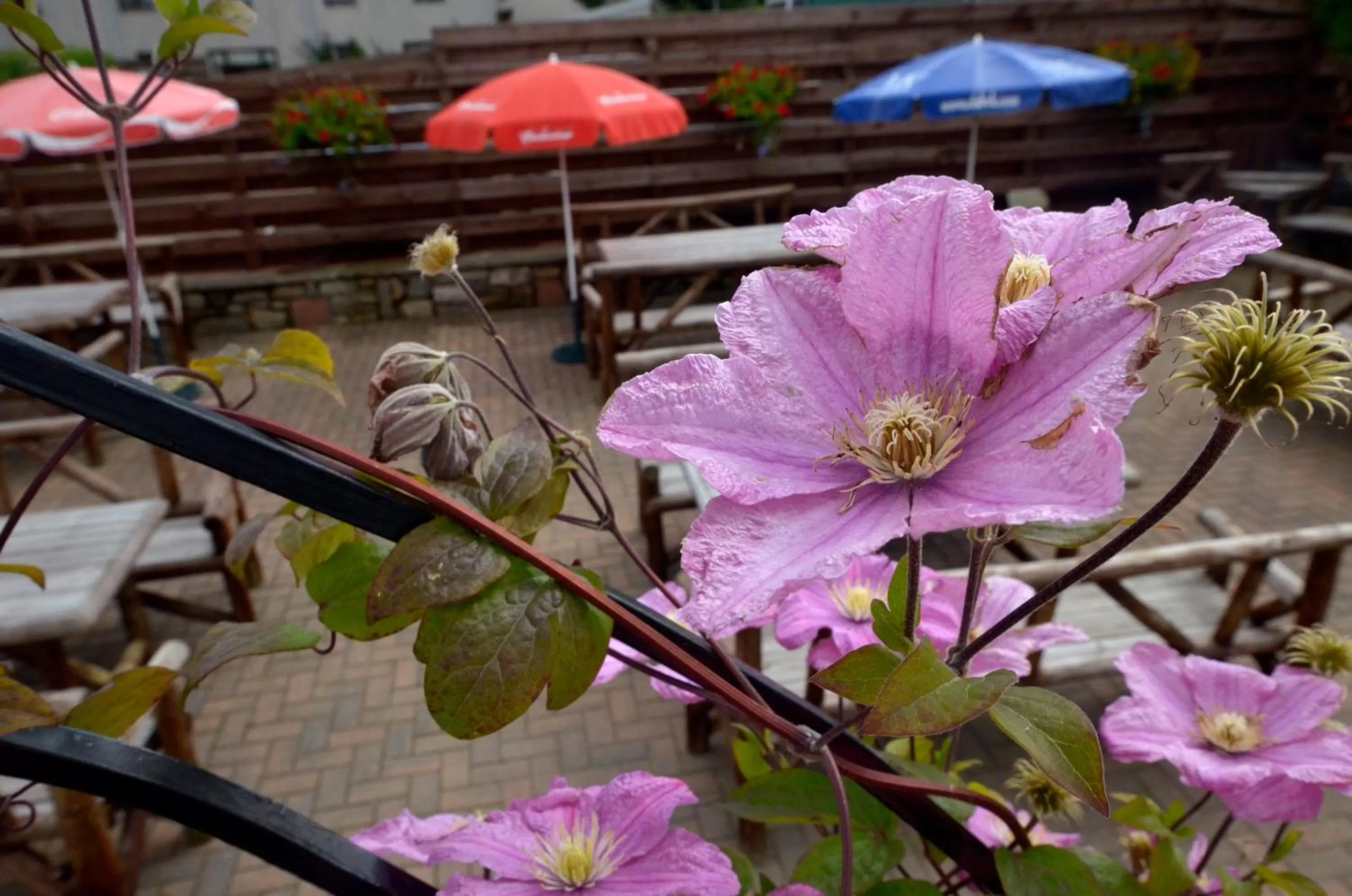 Patio in Auld Cross Keys Inn