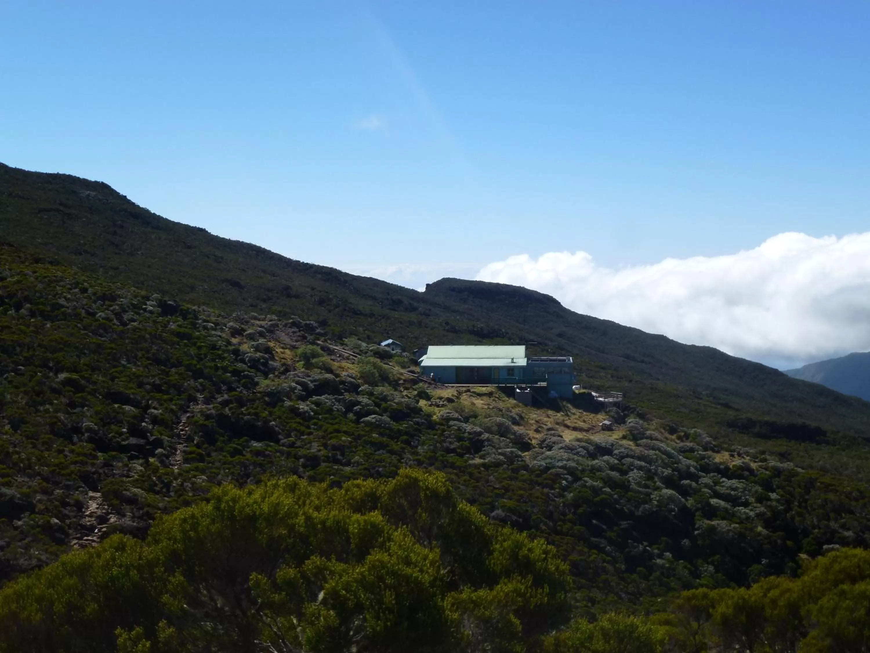 View (from property/room) in Hotel Des Neiges