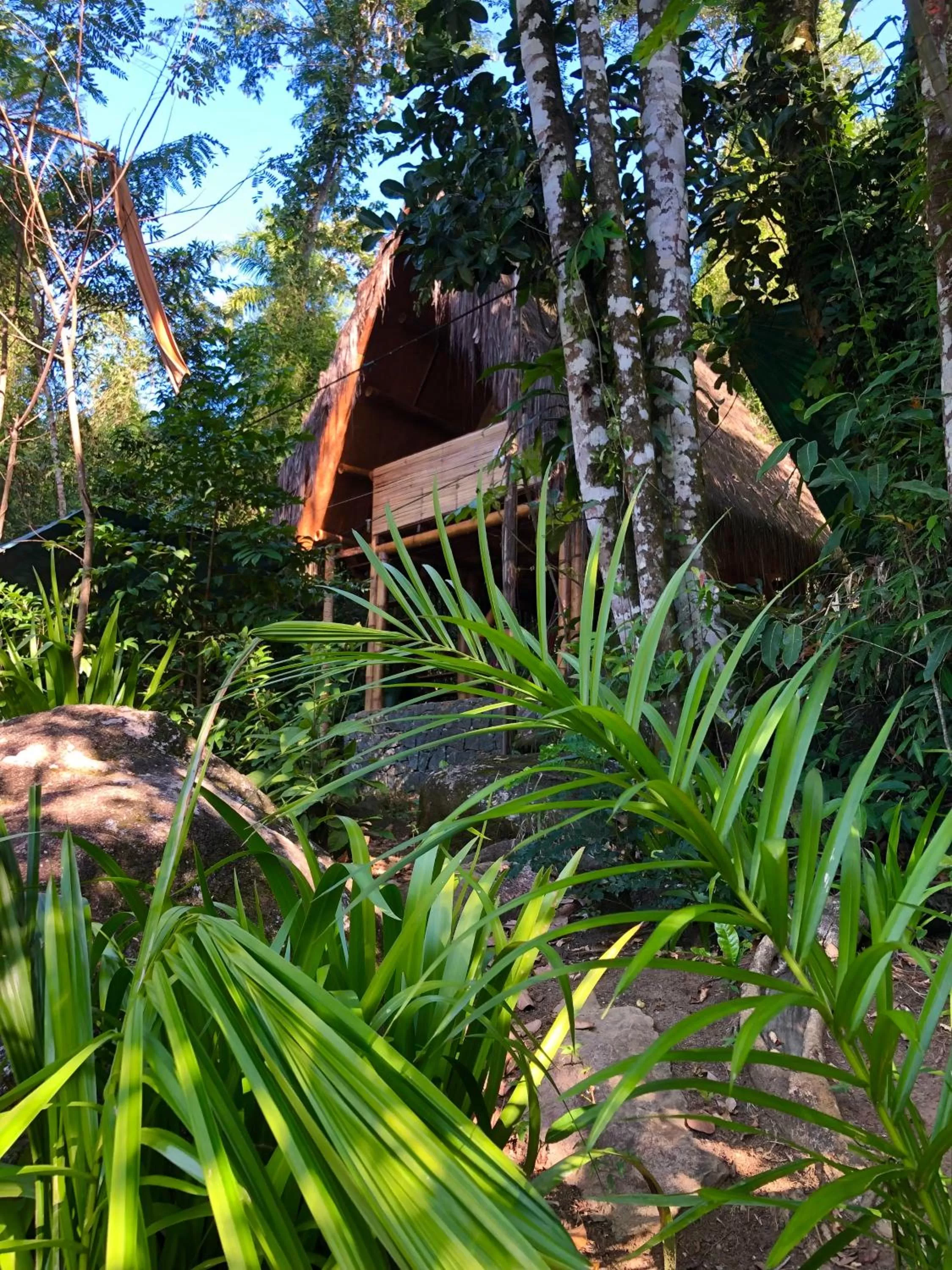 Spring in Sitio Simple Life