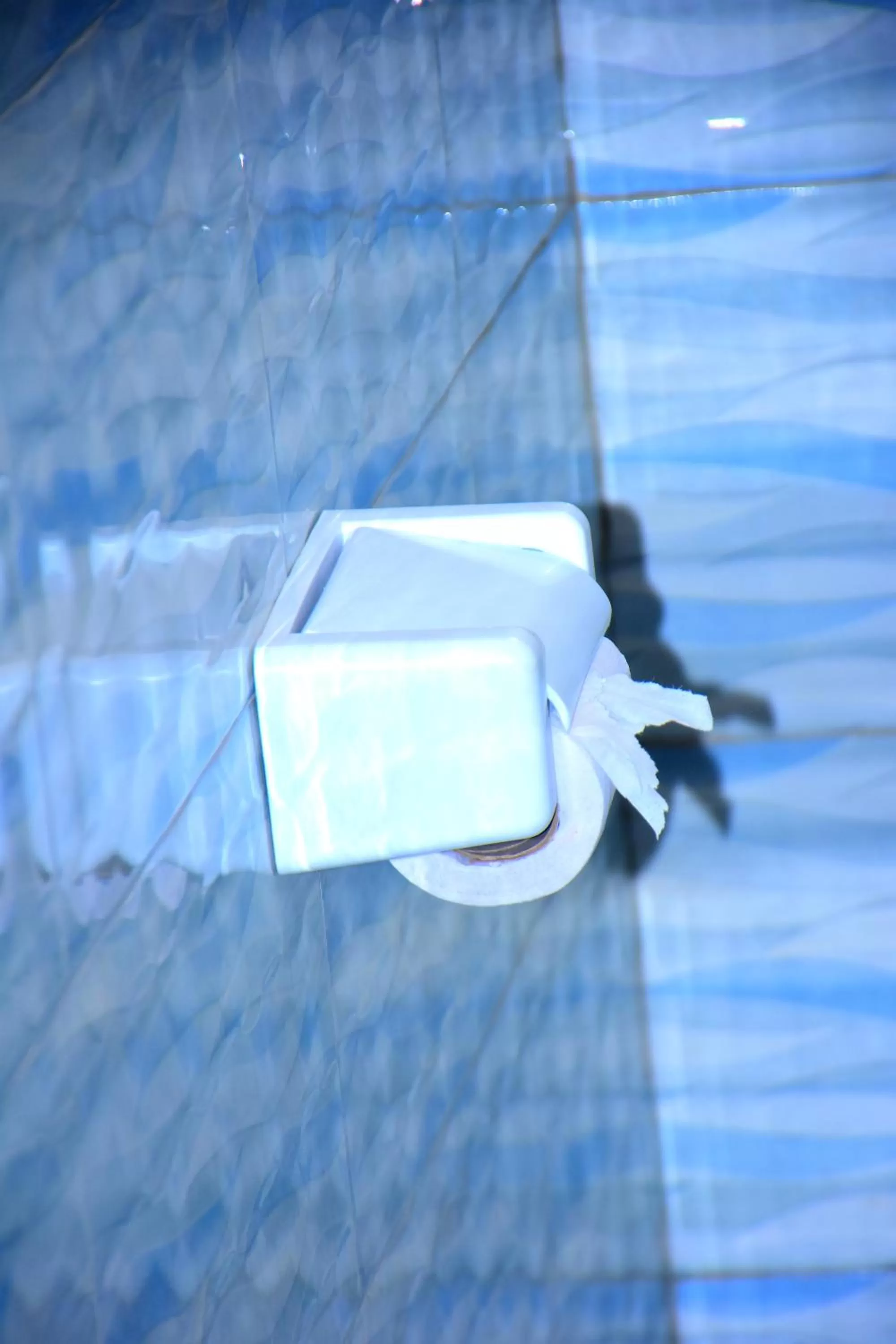 furniture in Safari Park House