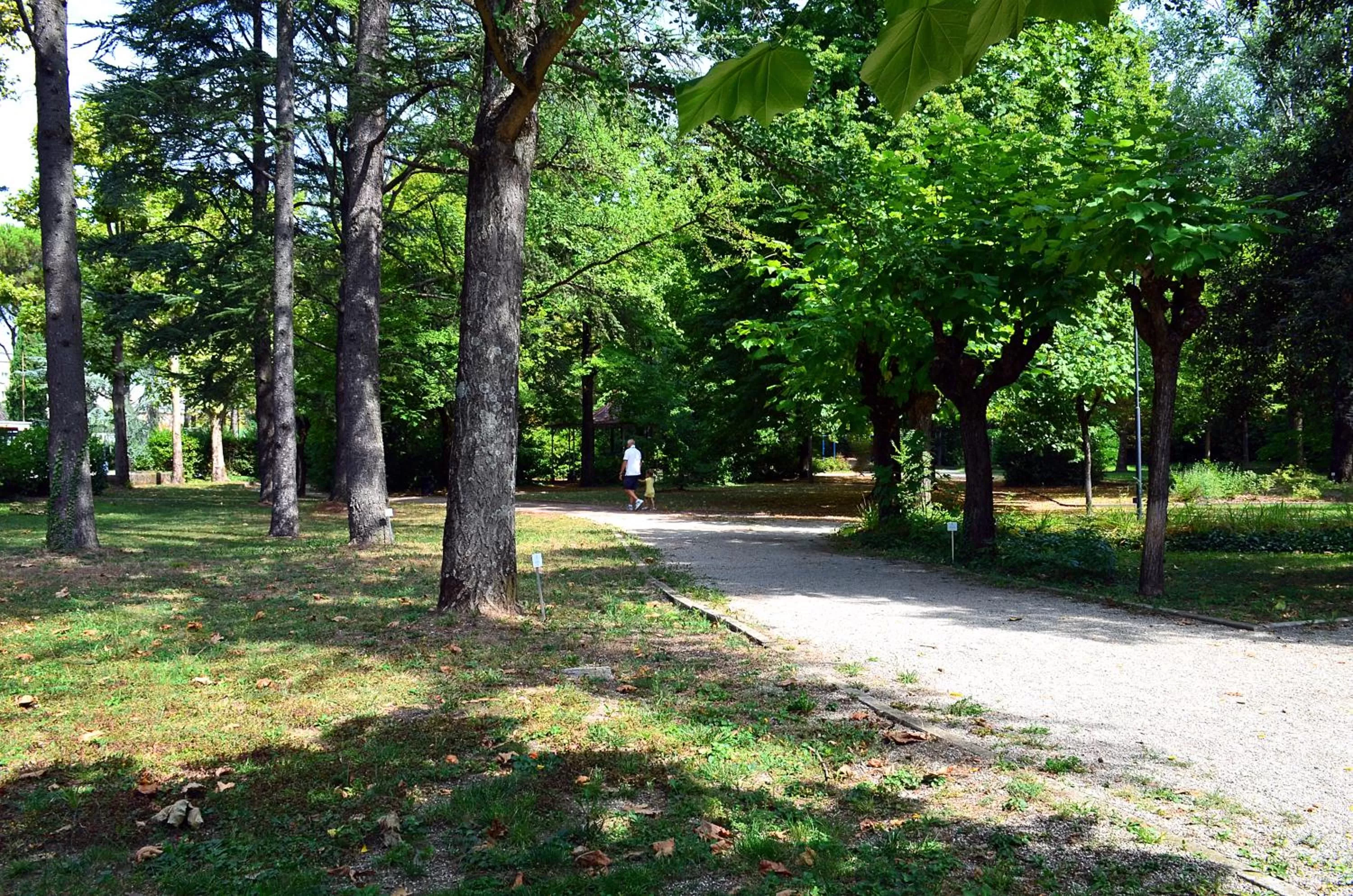 Garden in Hotel Terme di Castel San Pietro
