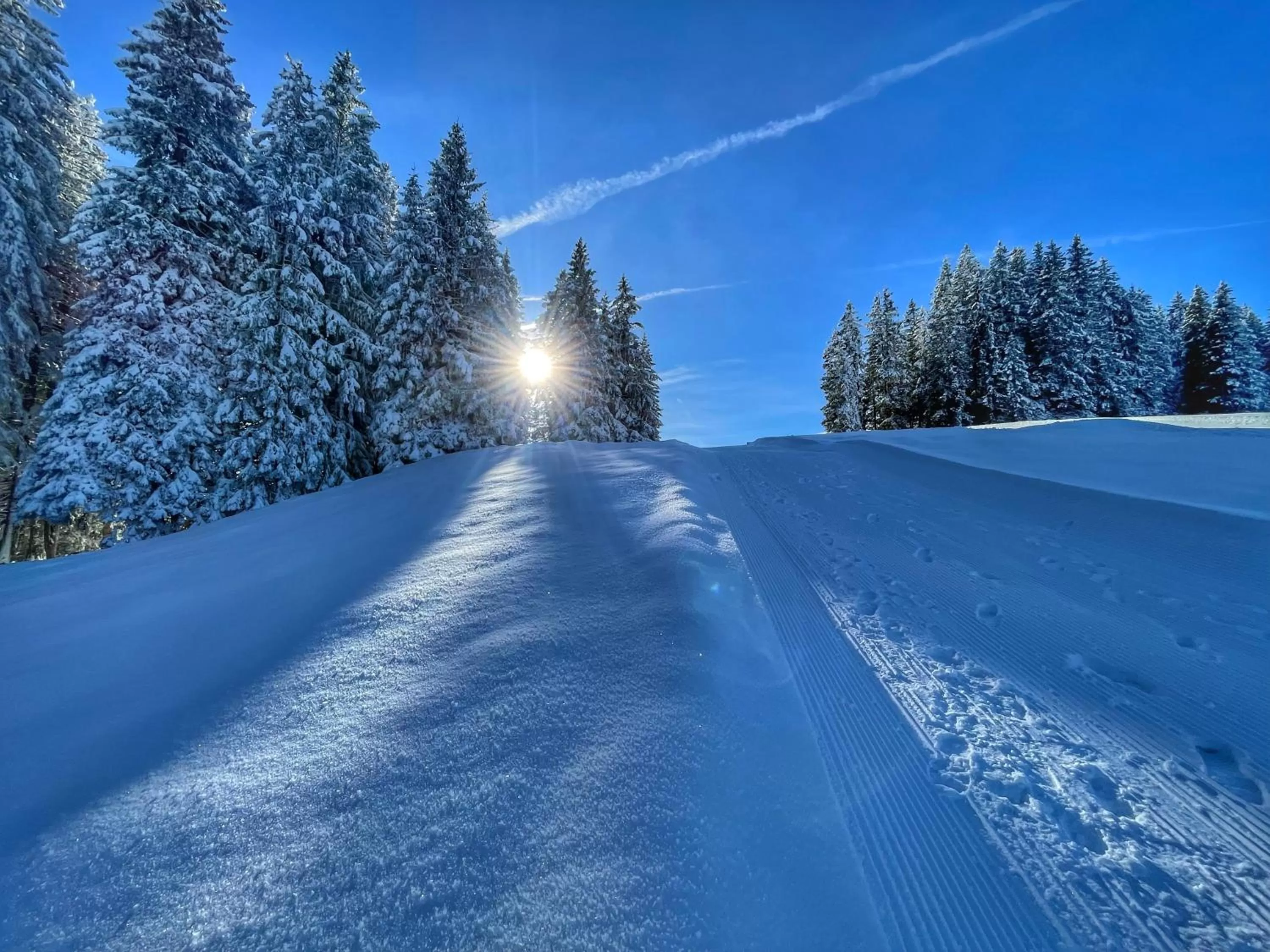 Natural landscape in ERMITAGE Wellness- & Spa-Hotel