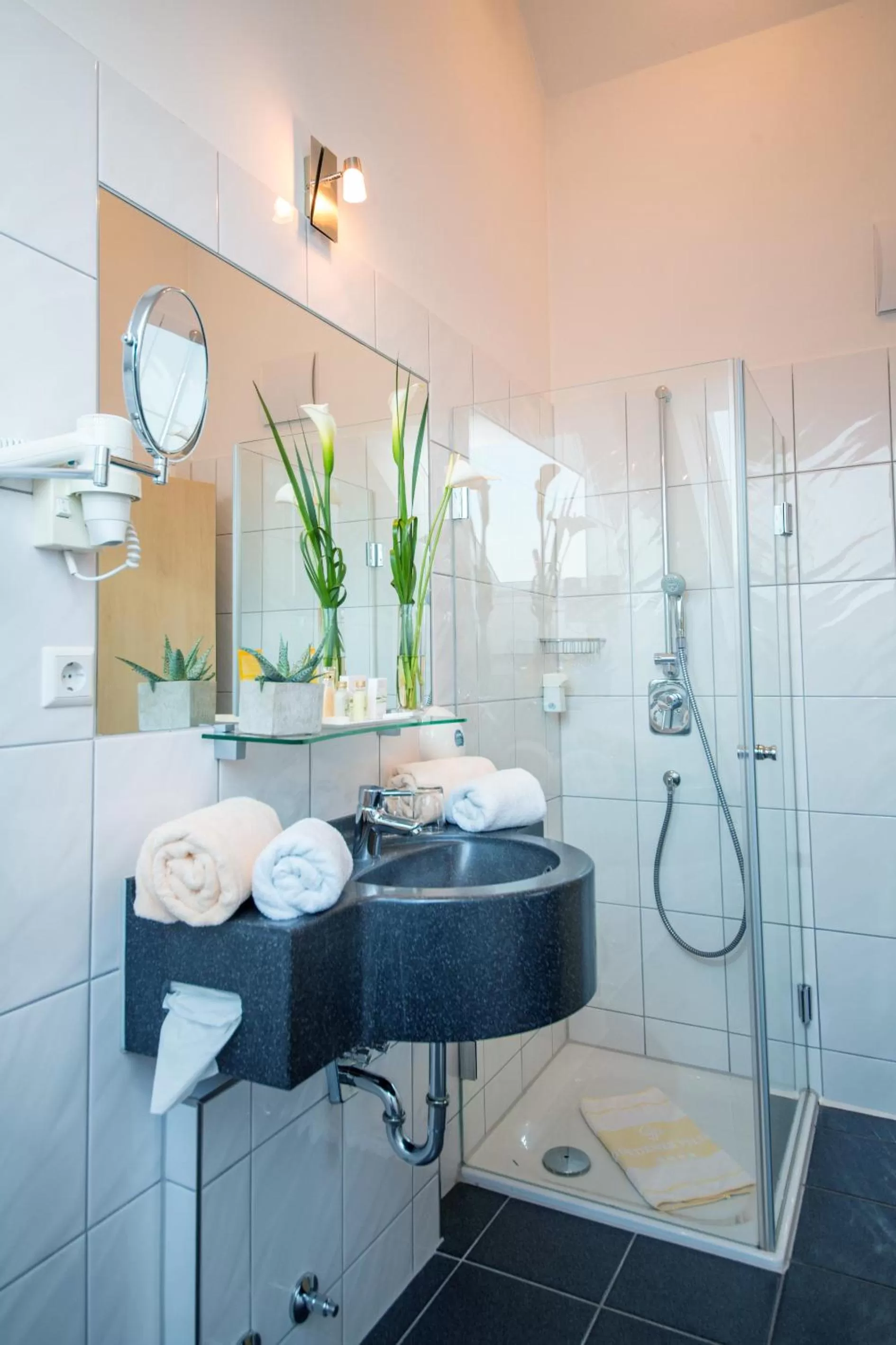 Shower in Hotel & Restaurant Goldener Pflug