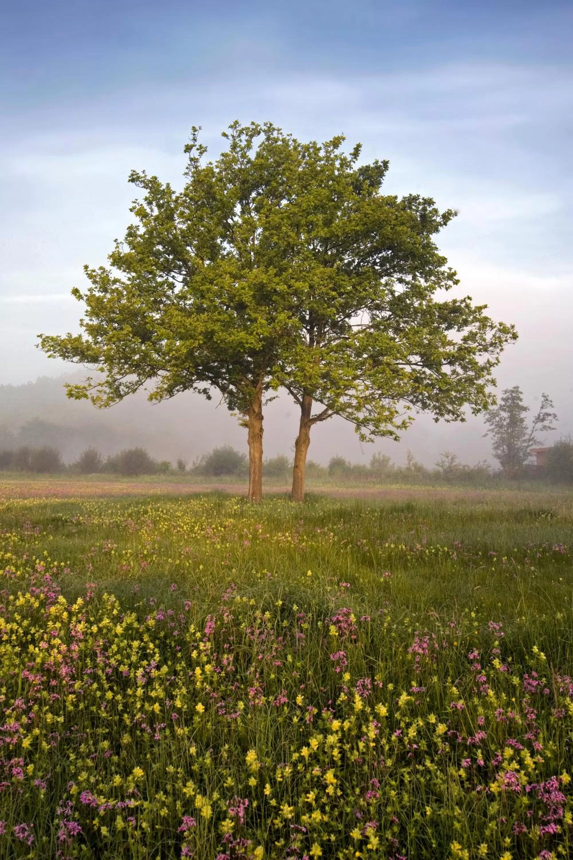 Nearby landmark in B&B Baron’s House Neerijse-Leuven