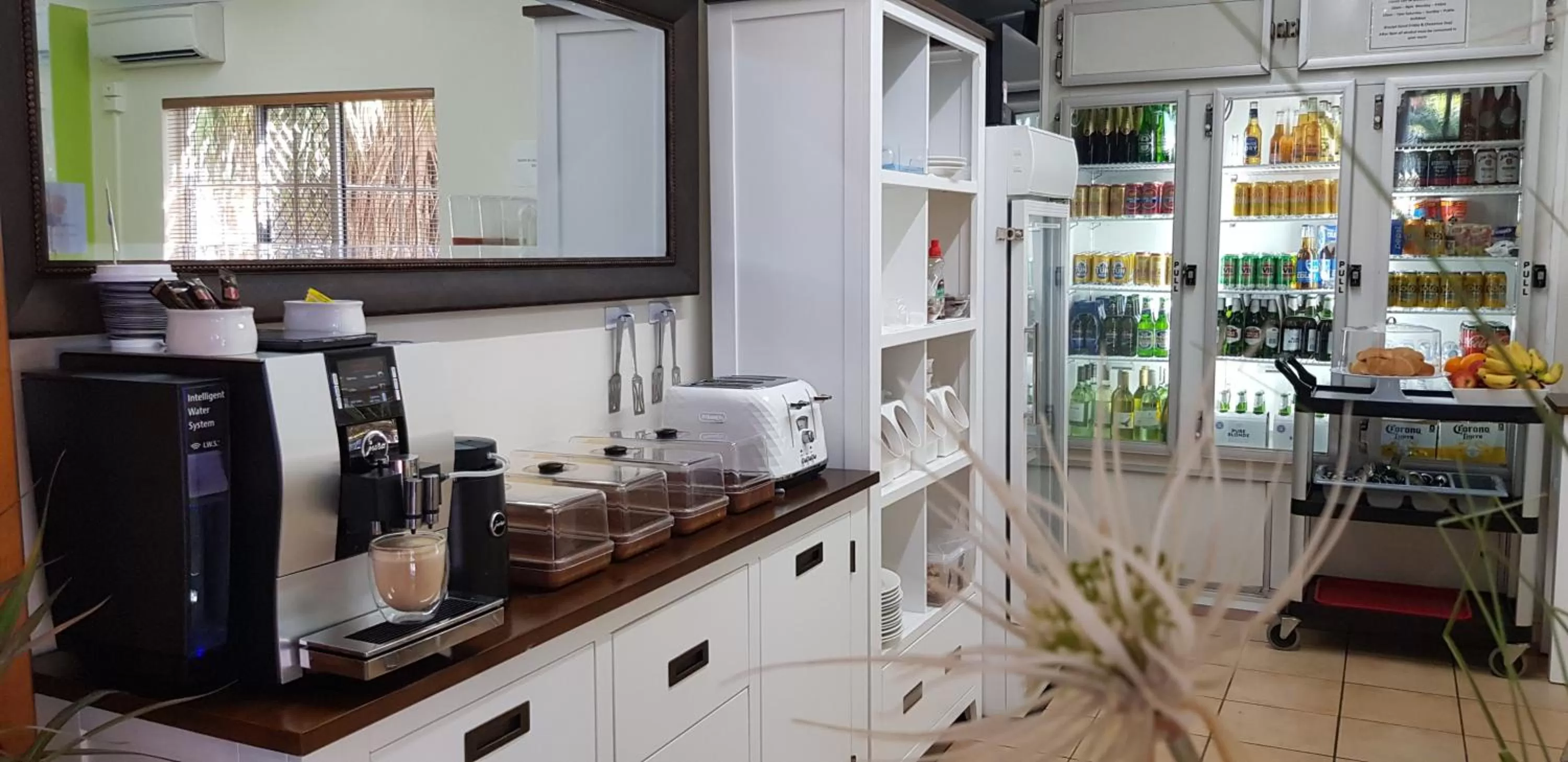 Breakfast in Reef Palms