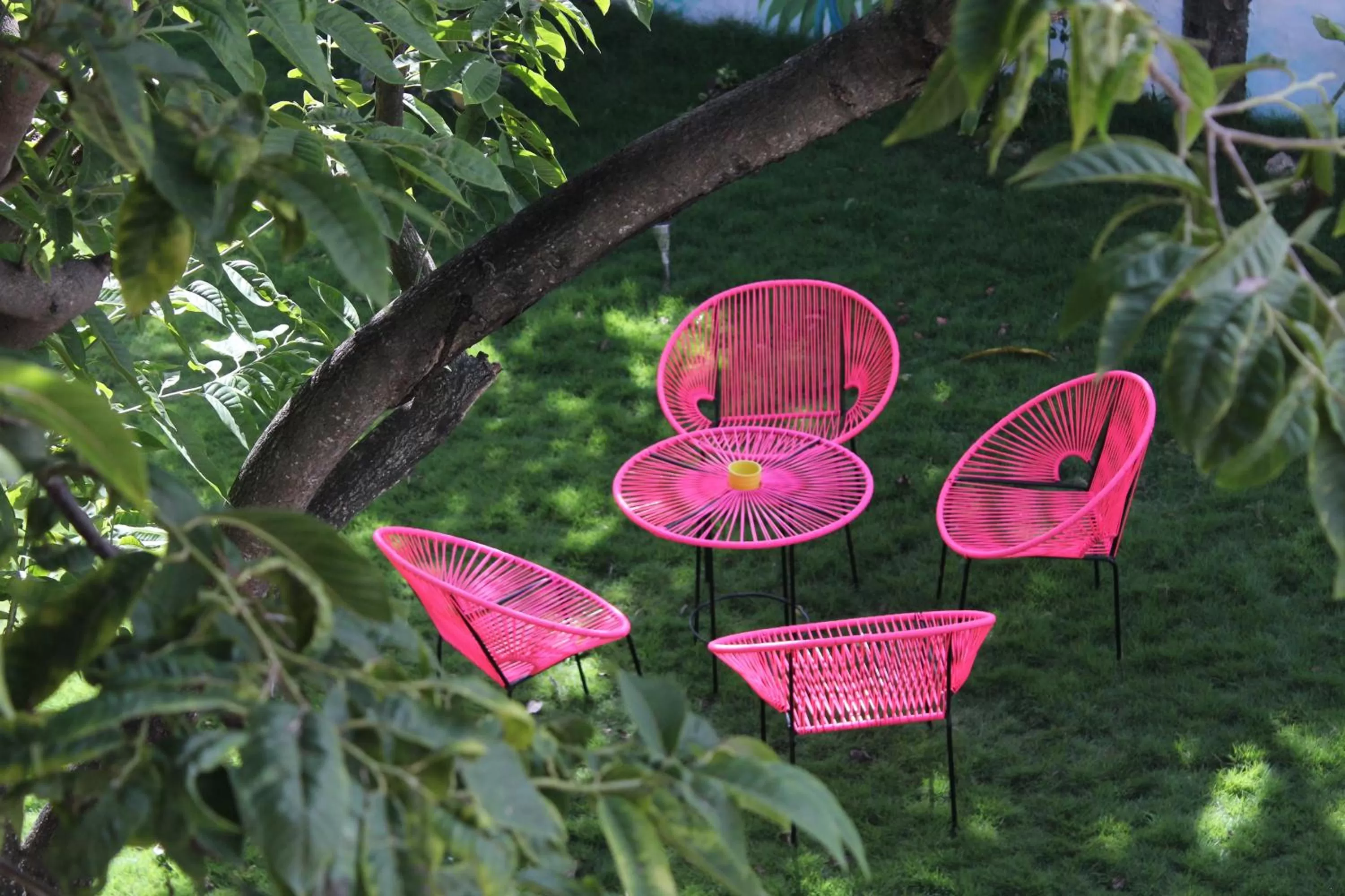 Garden in Corazon De Jade Tulum