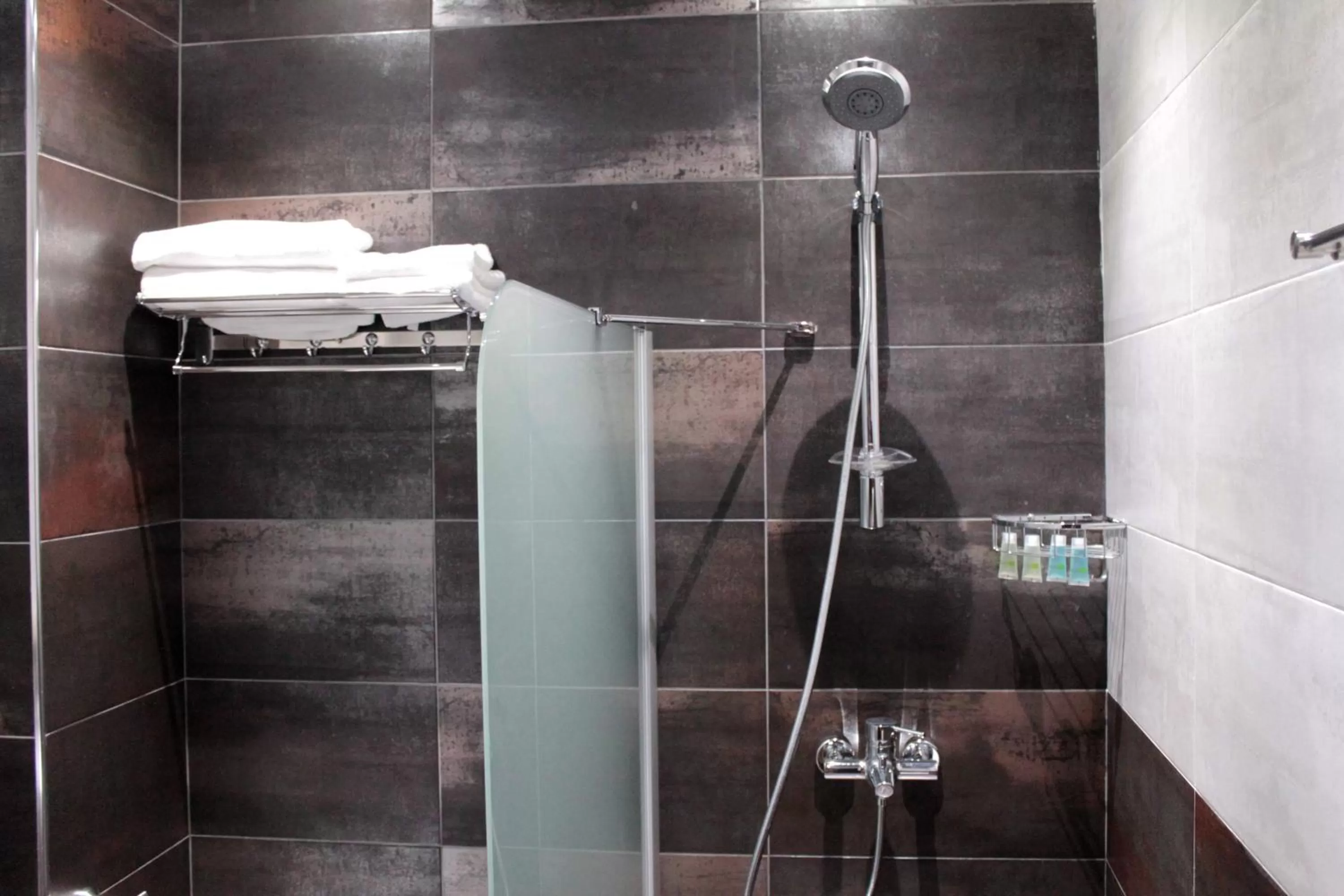 Shower in Royal Venezia Hotel