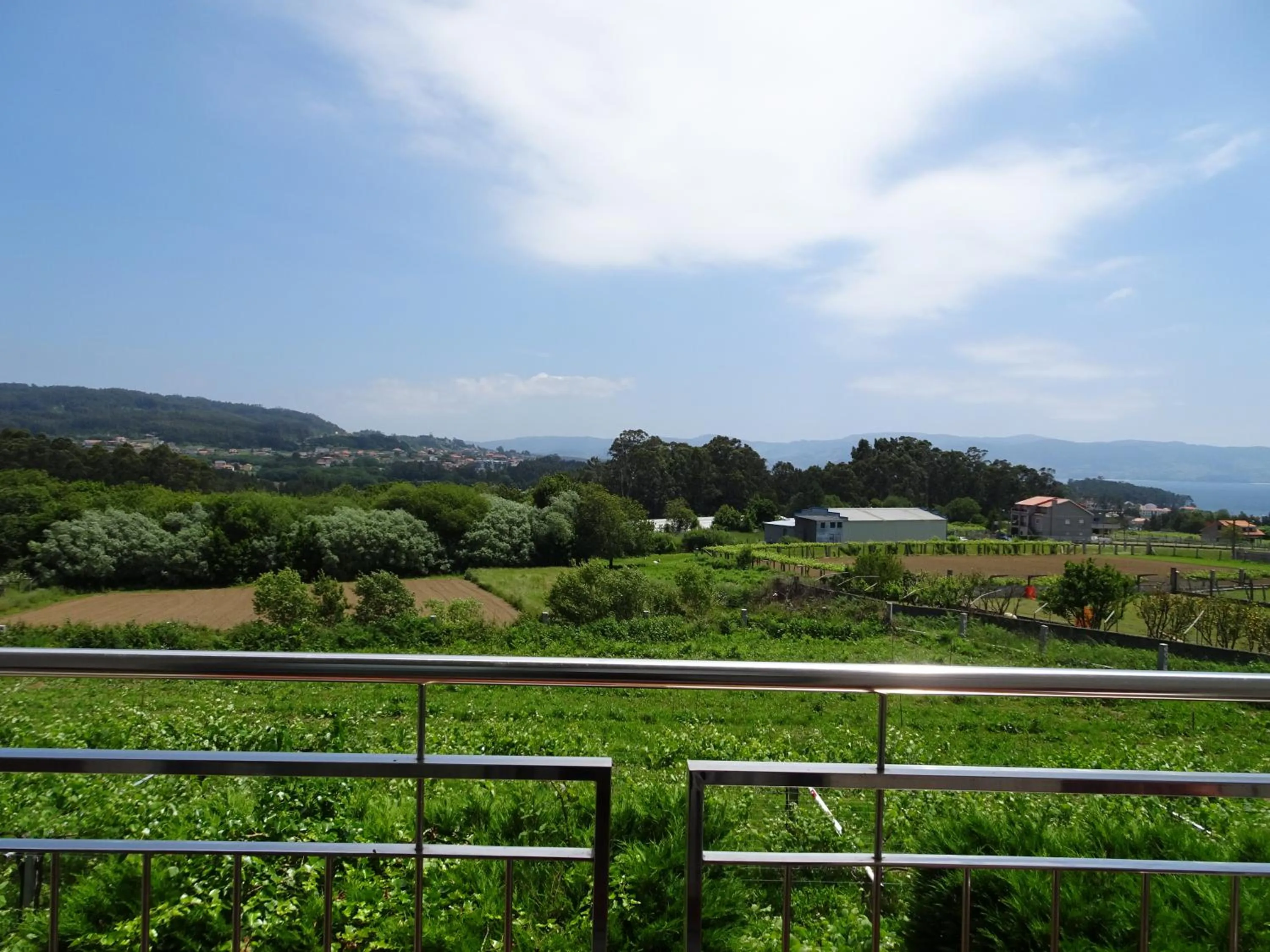Balcony/Terrace in Peregrina Hotel