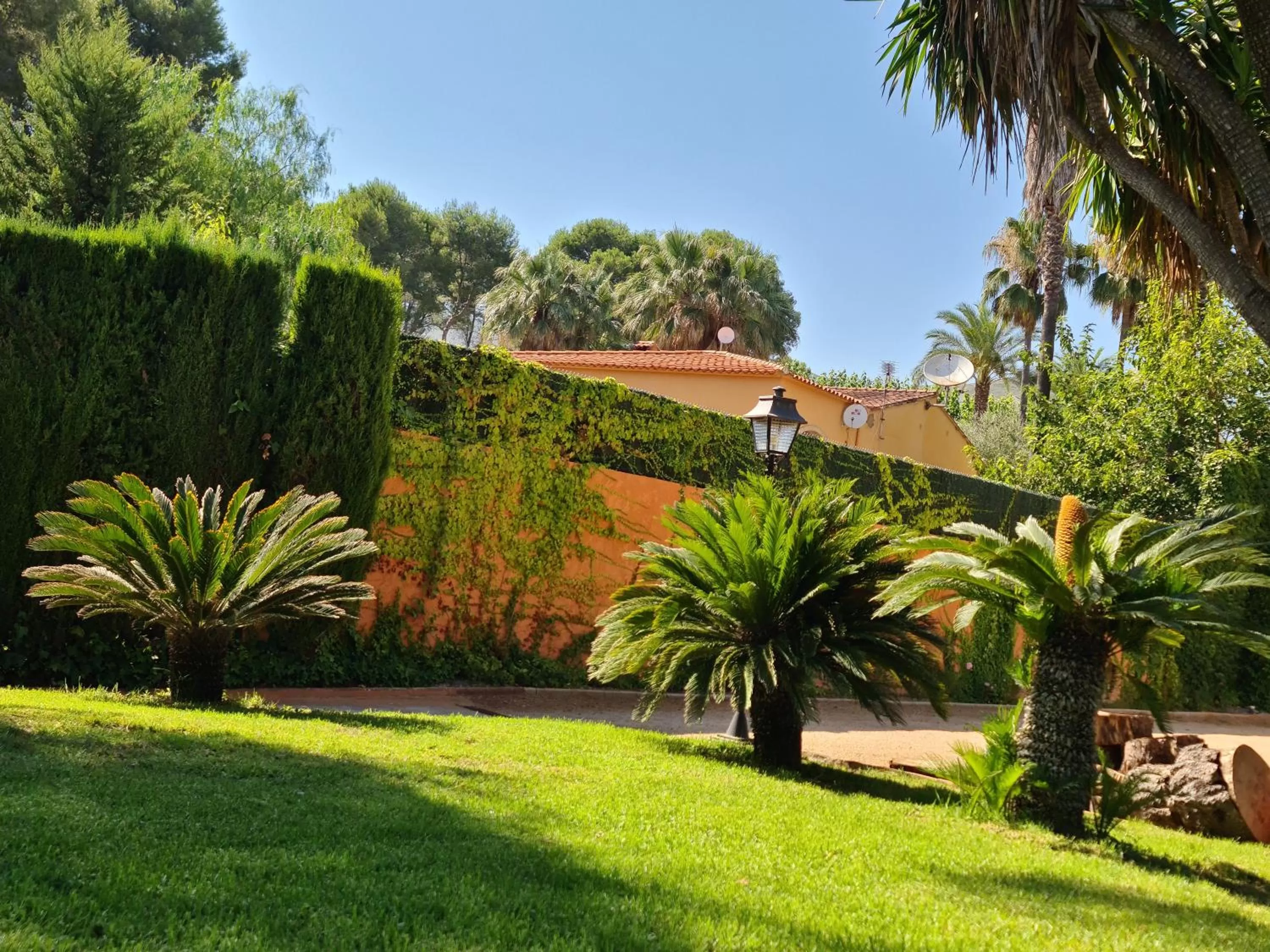 Garden in Finca la Yuca