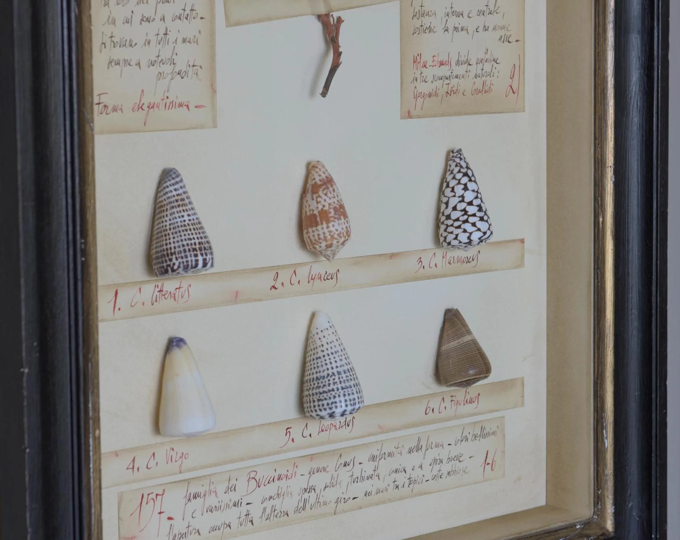 Decorative detail in Hotel Villa Ducale