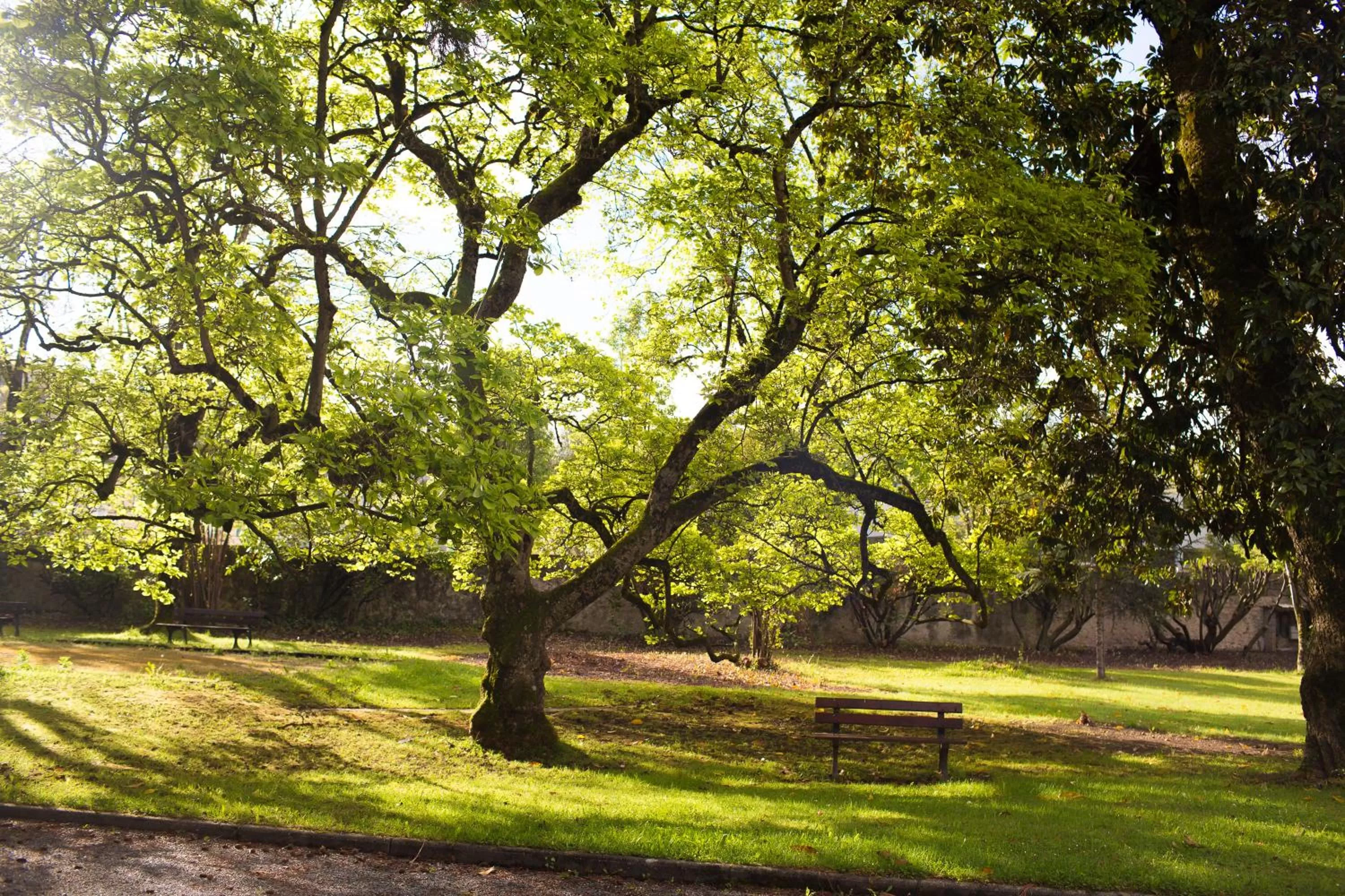 Garden in VILLA BONVOULOIR