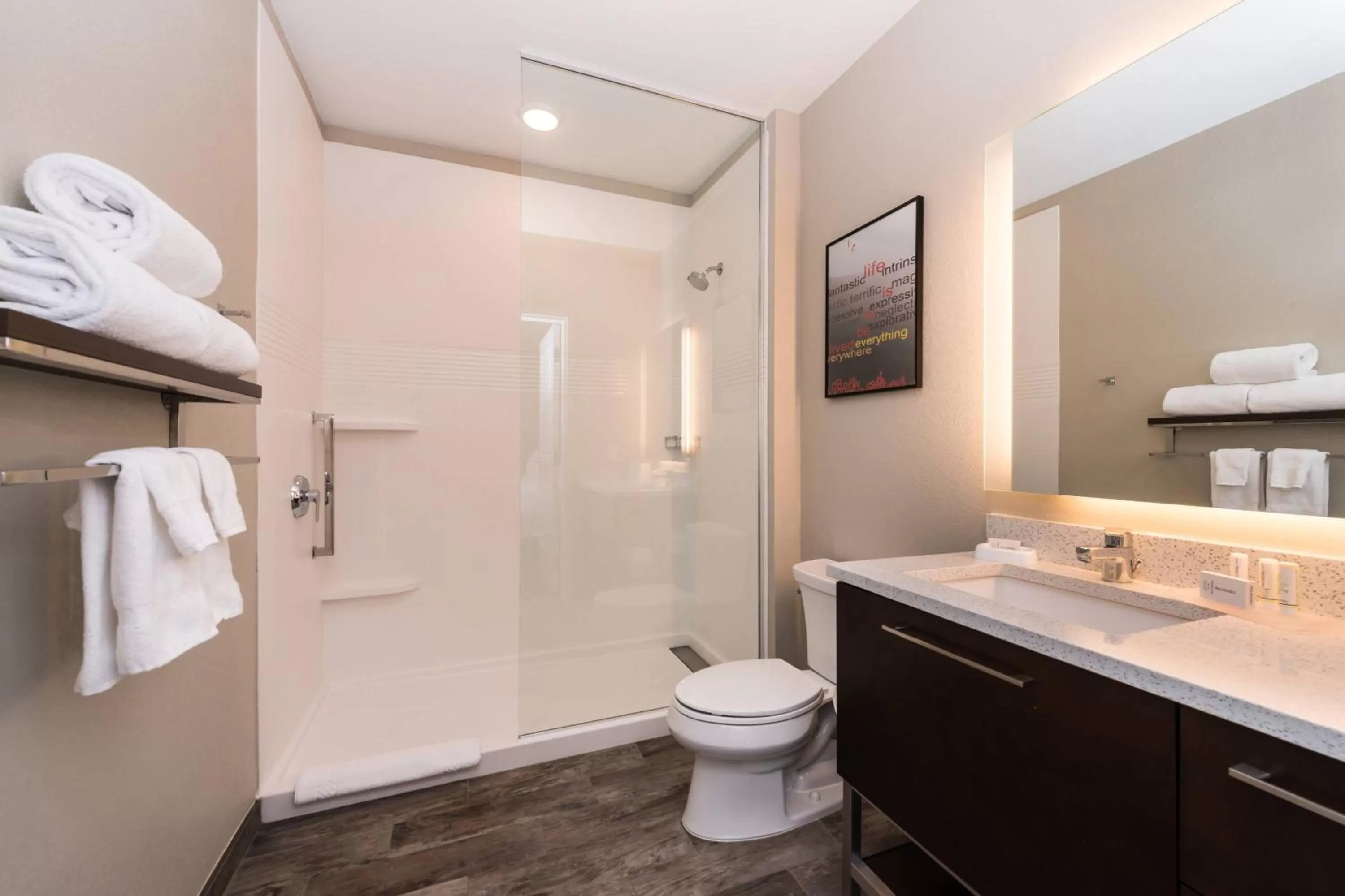 Bathroom in TownePlace Suites by Marriott San Bernardino Loma Linda