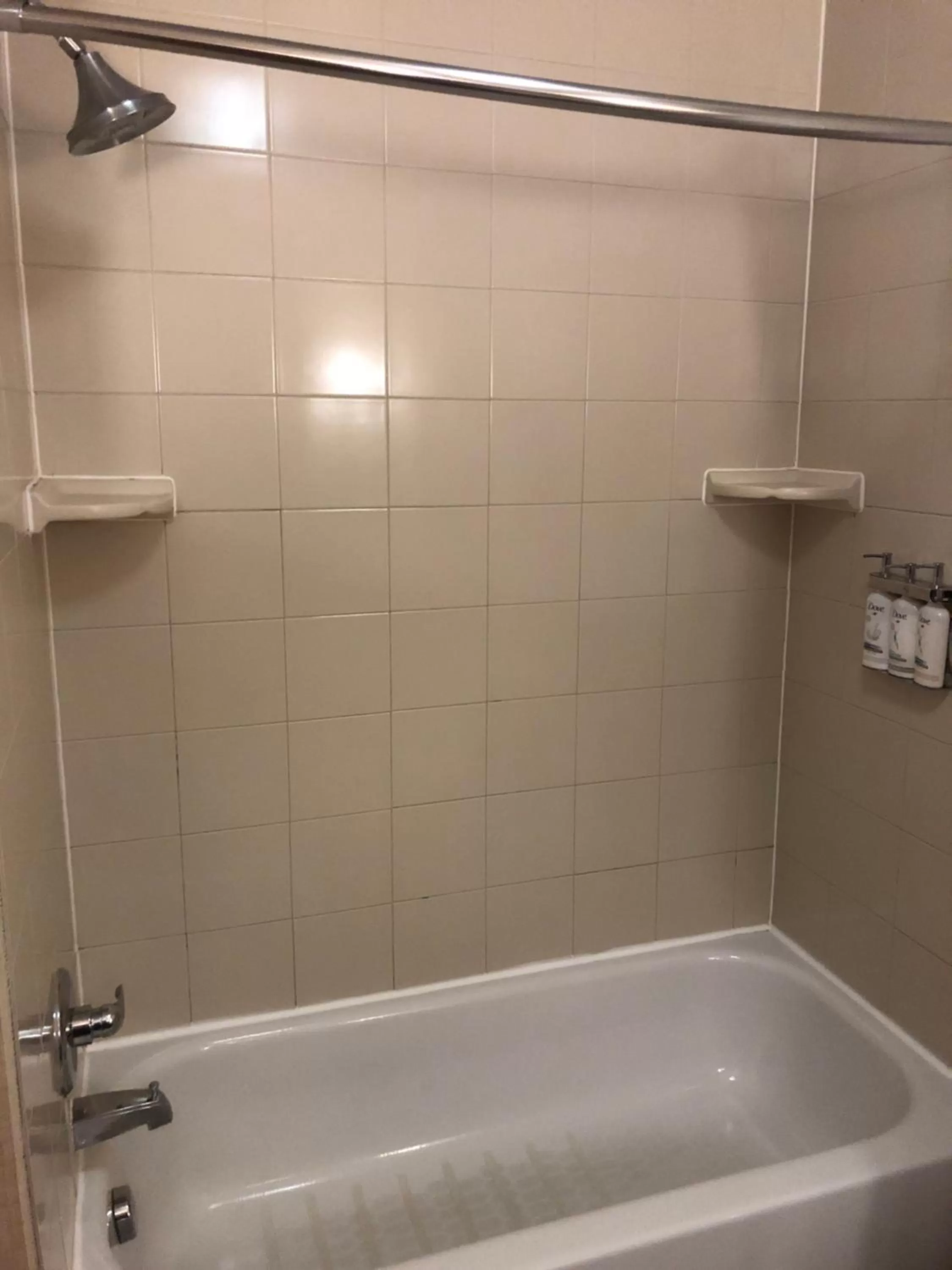 Shower in Holiday Inn Express Hotel & Suites Lansing-Dimondale by IHG