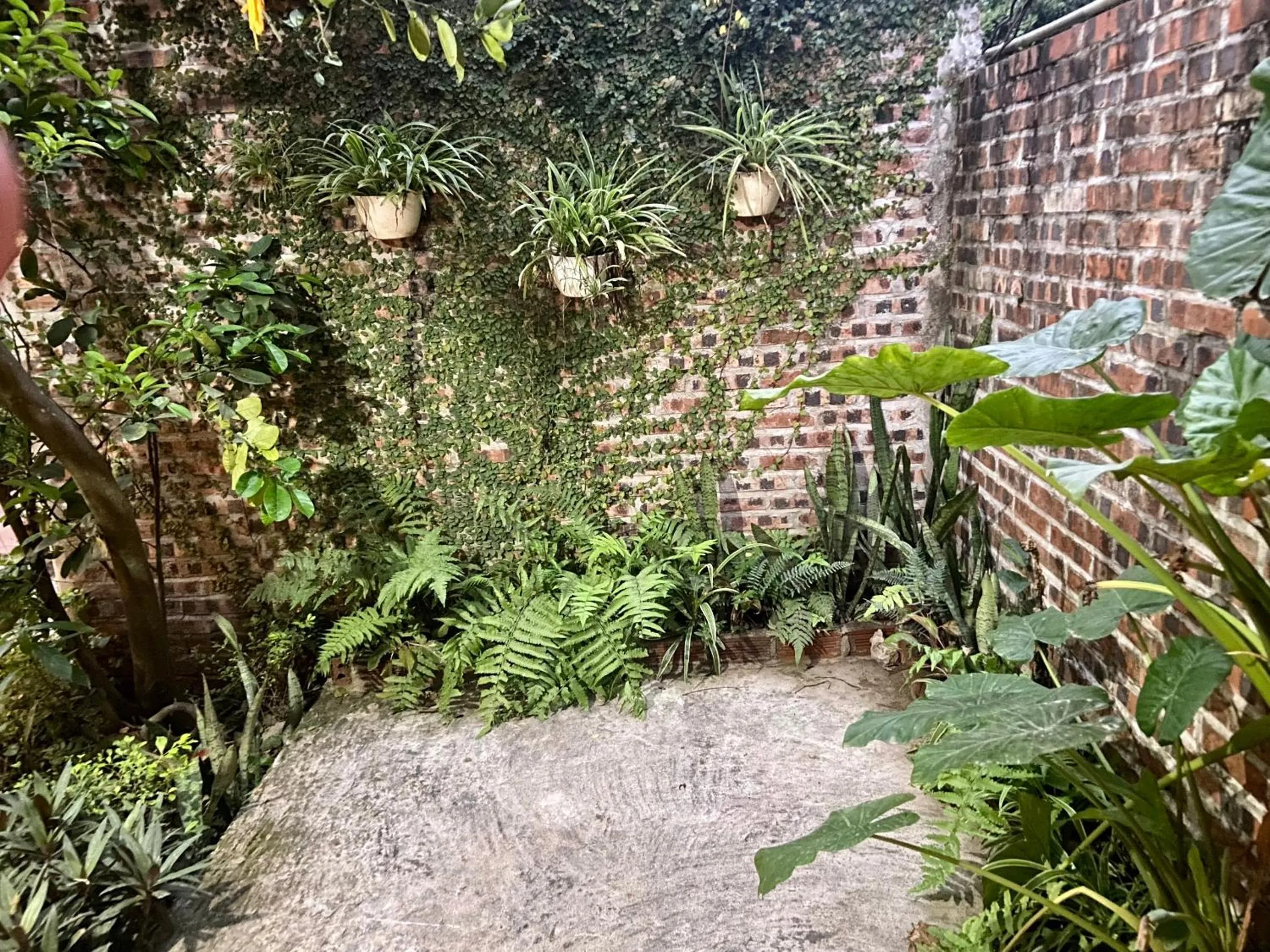 Other Animals in Tam Coc Mountain View Homestay