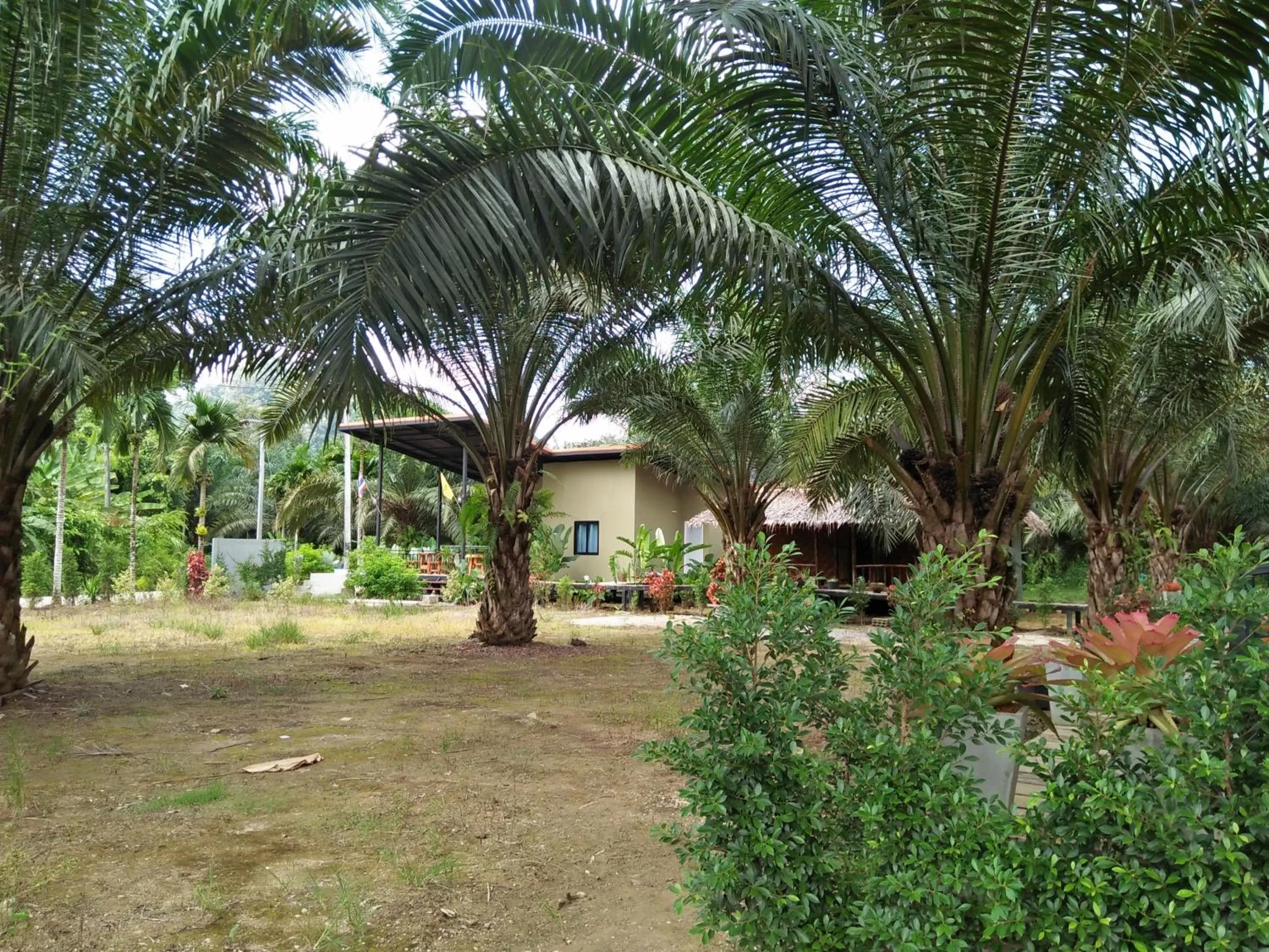 Natural landscape in Khao Sok Residence Resort