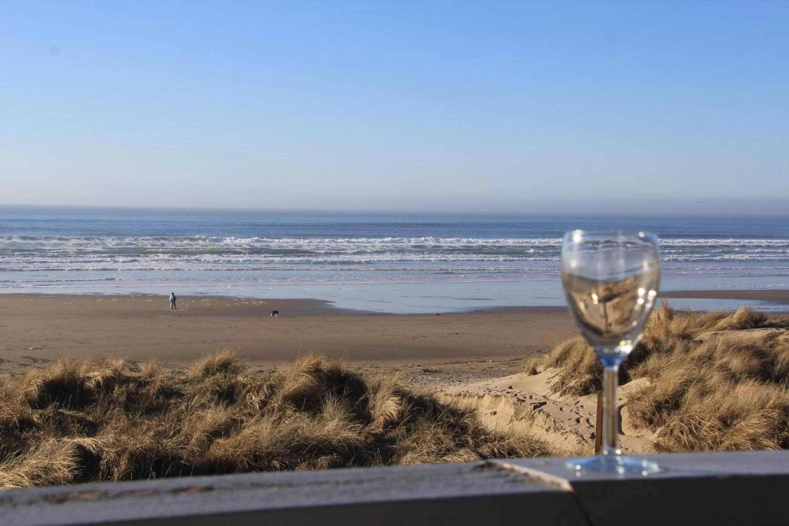 Natural landscape in Sunset Surf Motel