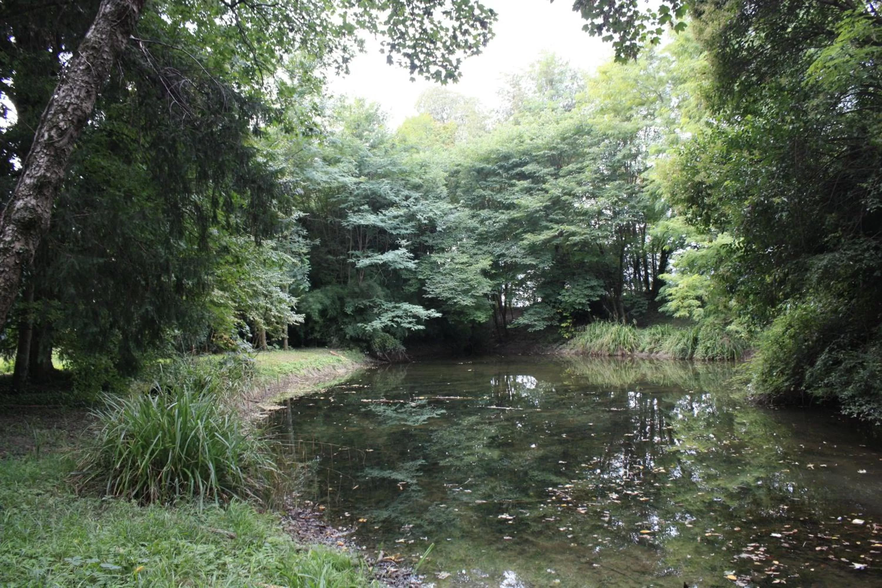 Garden in B&B Giardino Jappelli (Villa Ca' Minotto)