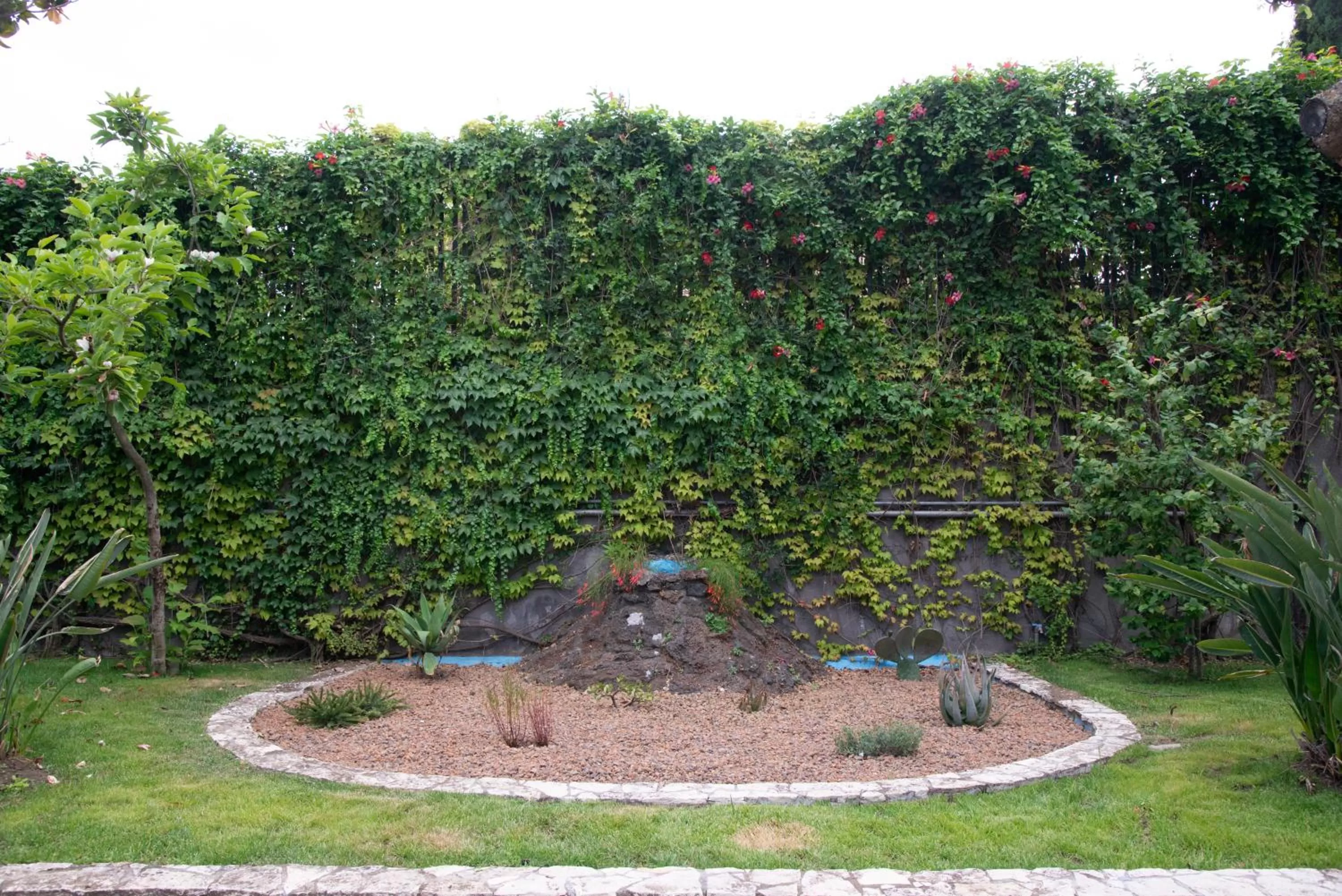 Garden view in Boutique Villa Etna d'A'mare