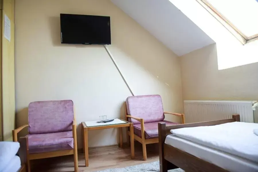 Single Room - single occupancy in Hotel Rubín Single Room - single occupancy in Hotel Rubín