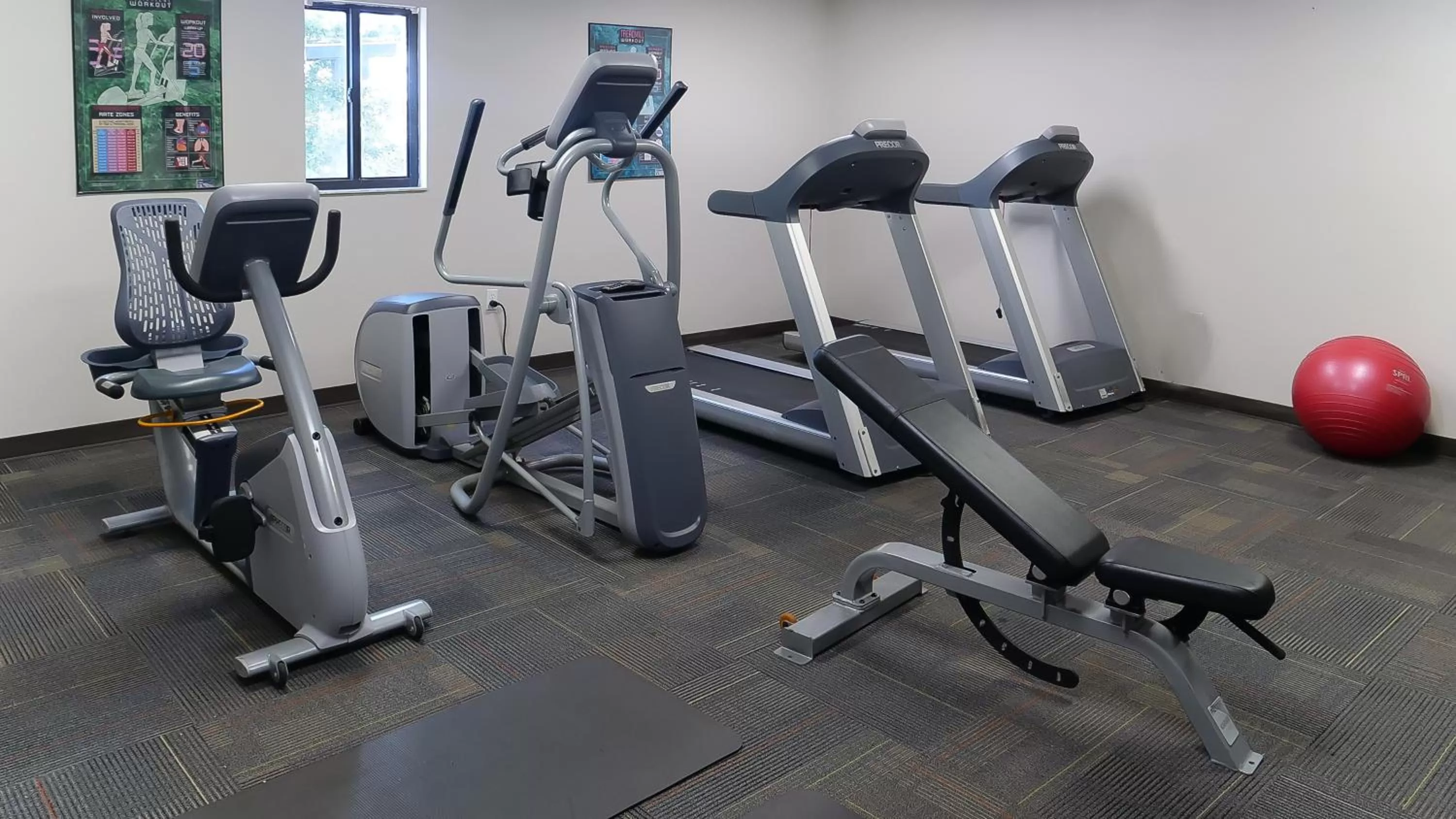 Fitness centre/facilities in Hotel South Tampa & Suites