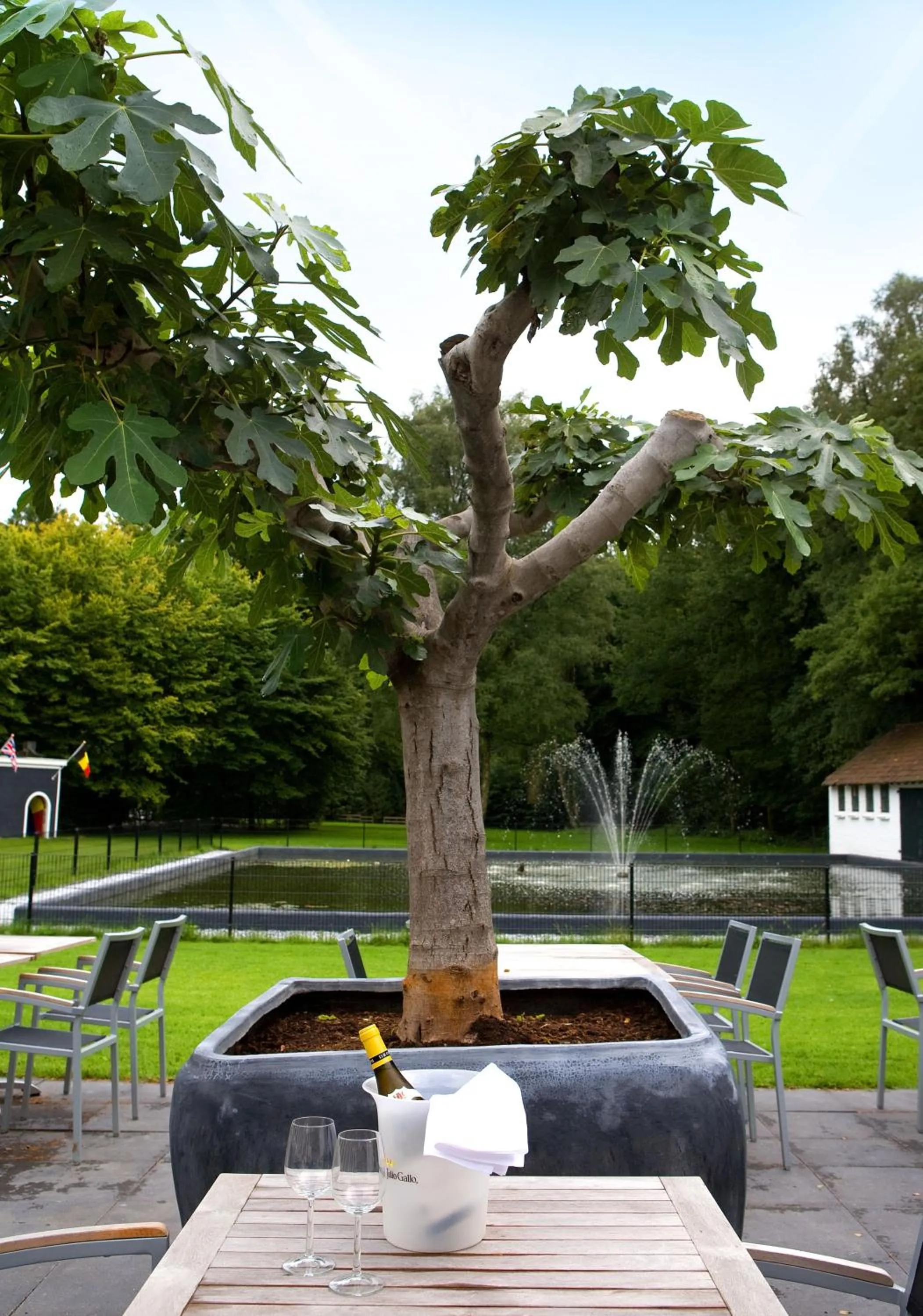 Balcony/Terrace in Fletcher Hotel Restaurant Erica