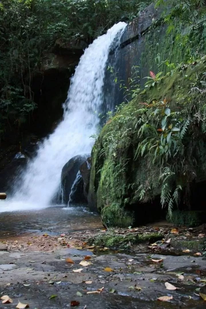 Pousada Vale Dos Figos