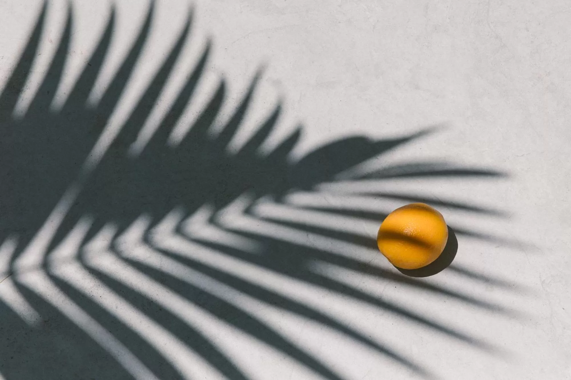 Decorative detail in Yara Hotel - Adults Only