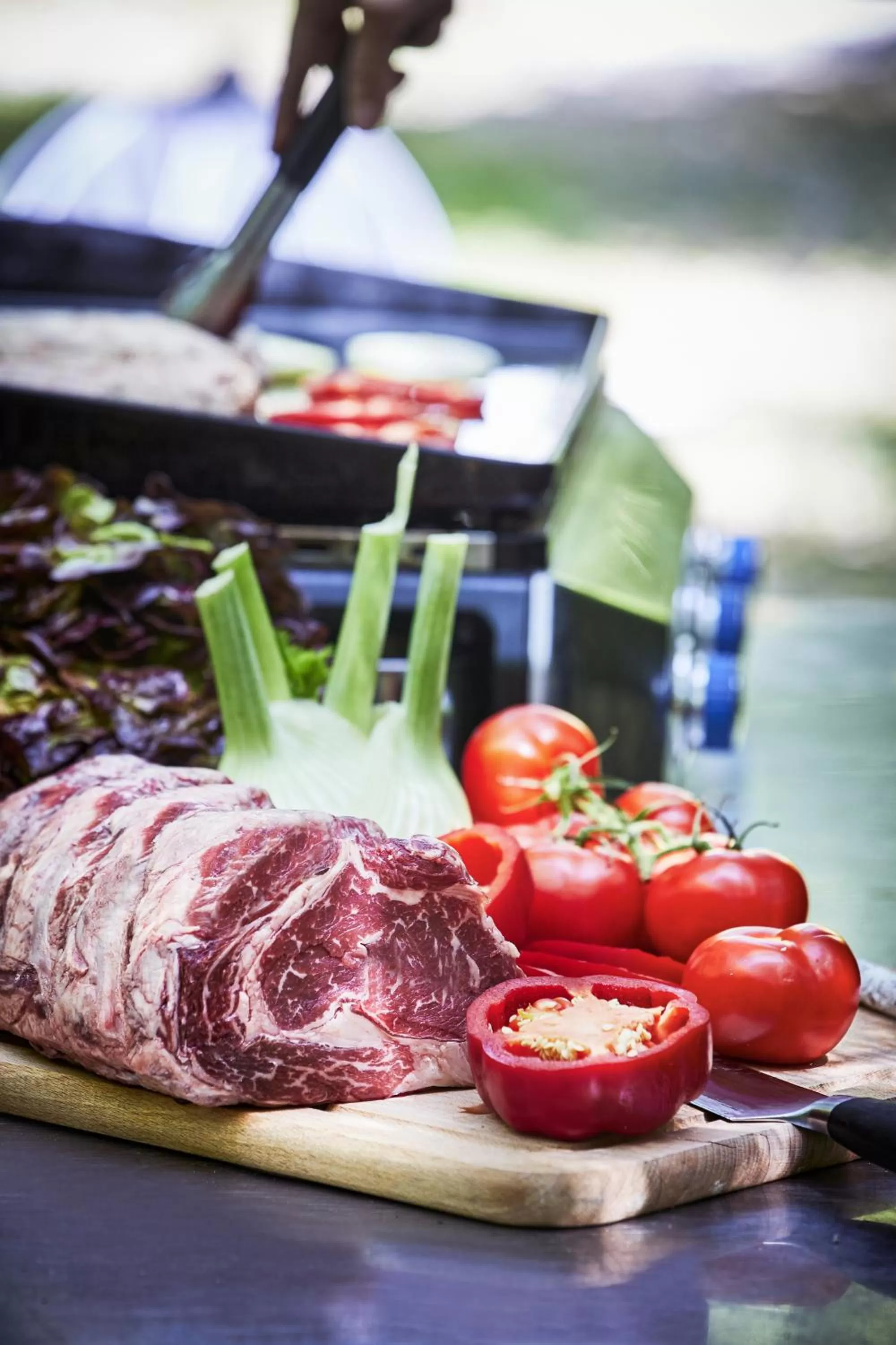 BBQ facilities in Logis Bagatelle - 51530 Dizy