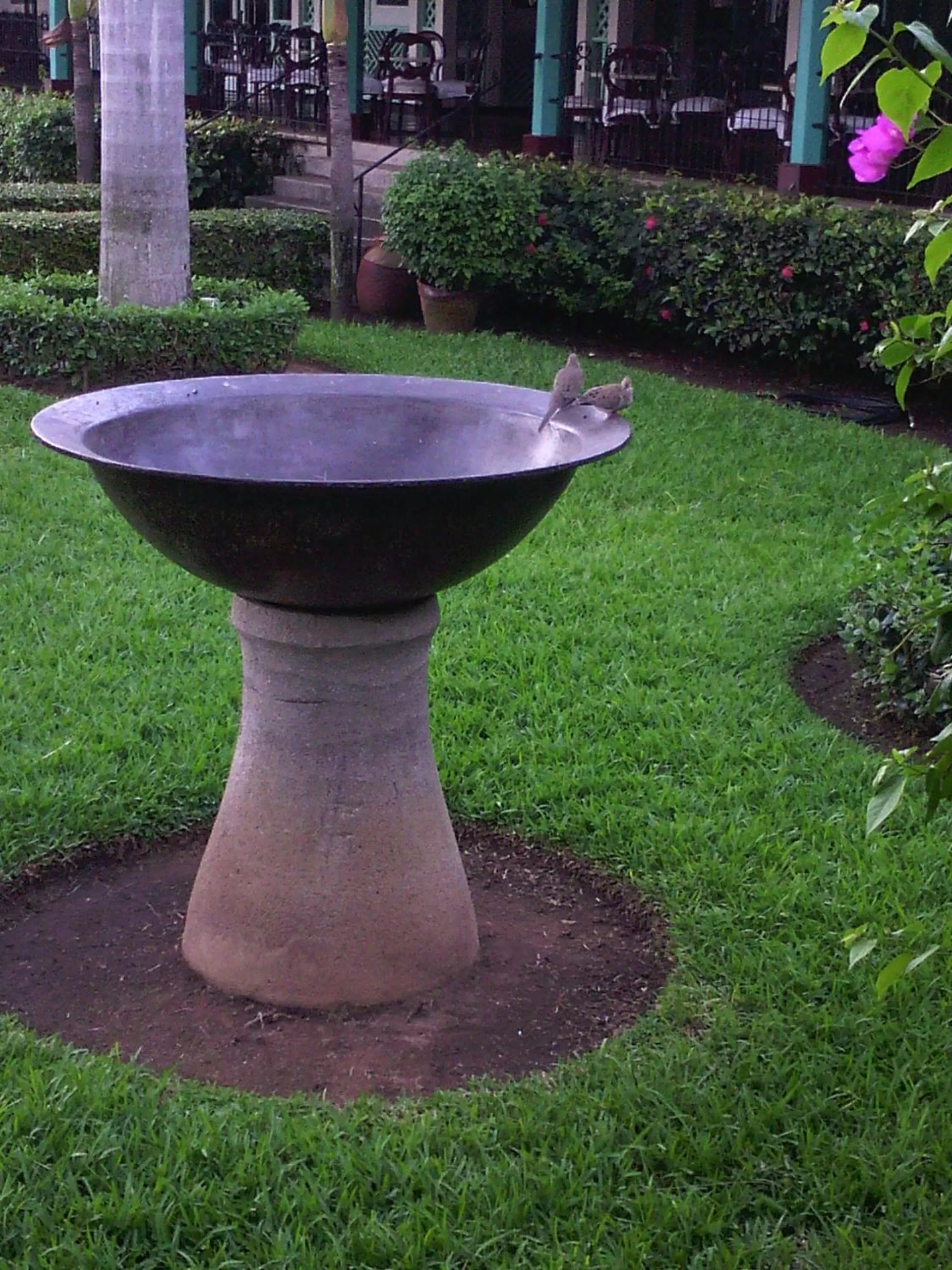 Natural landscape in Hotel El Convento Leon Nicaragua