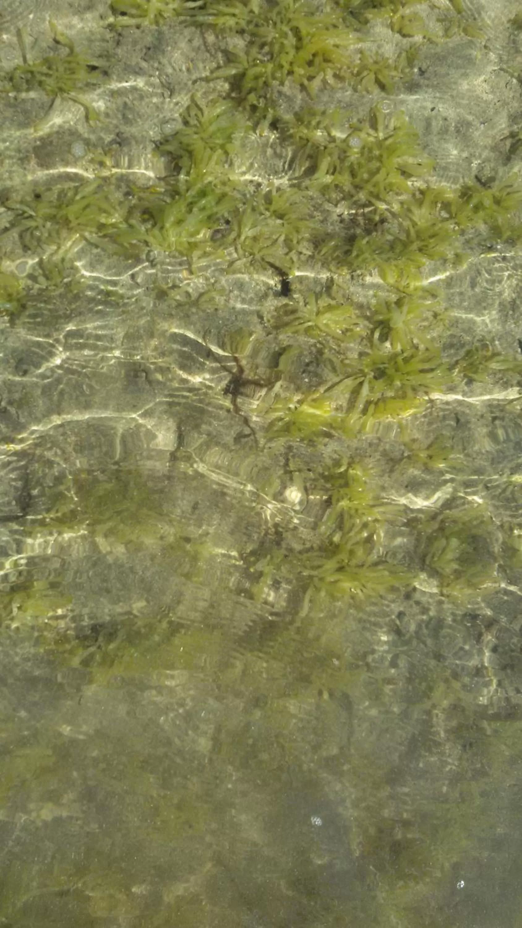 Beach in Bahari Pori Resort