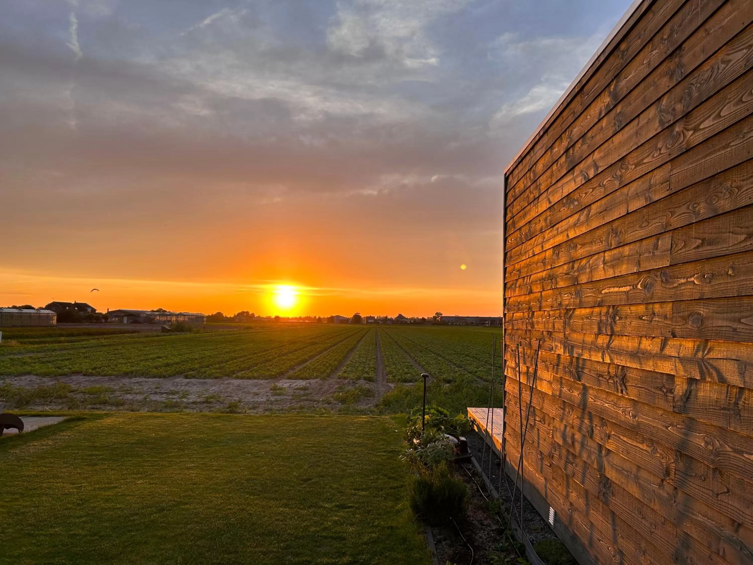 Sunset, Sunrise/Sunset in Blossombed