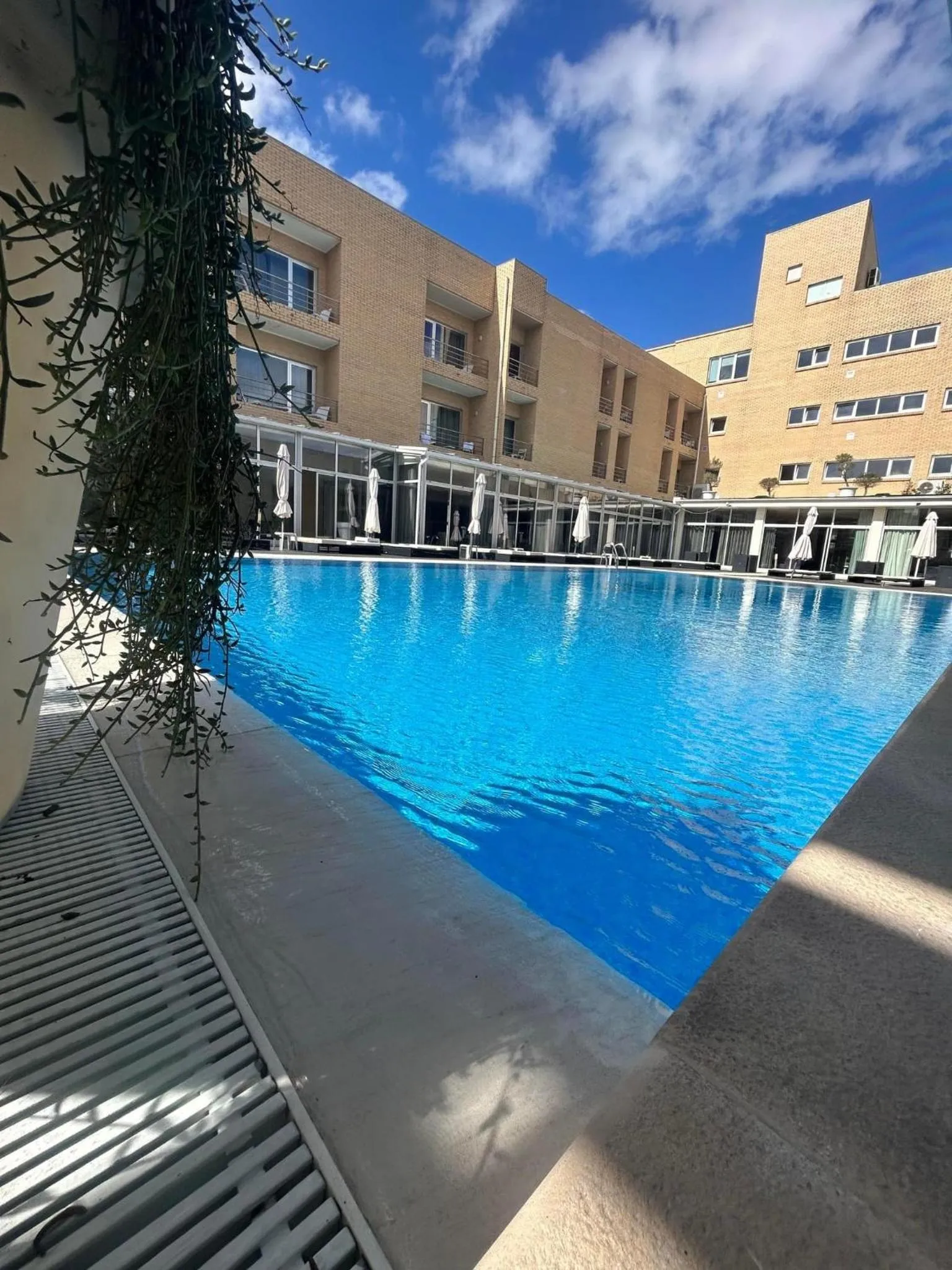 Restaurant/places to eat in Hotel de Ilhavo Plaza & Spa