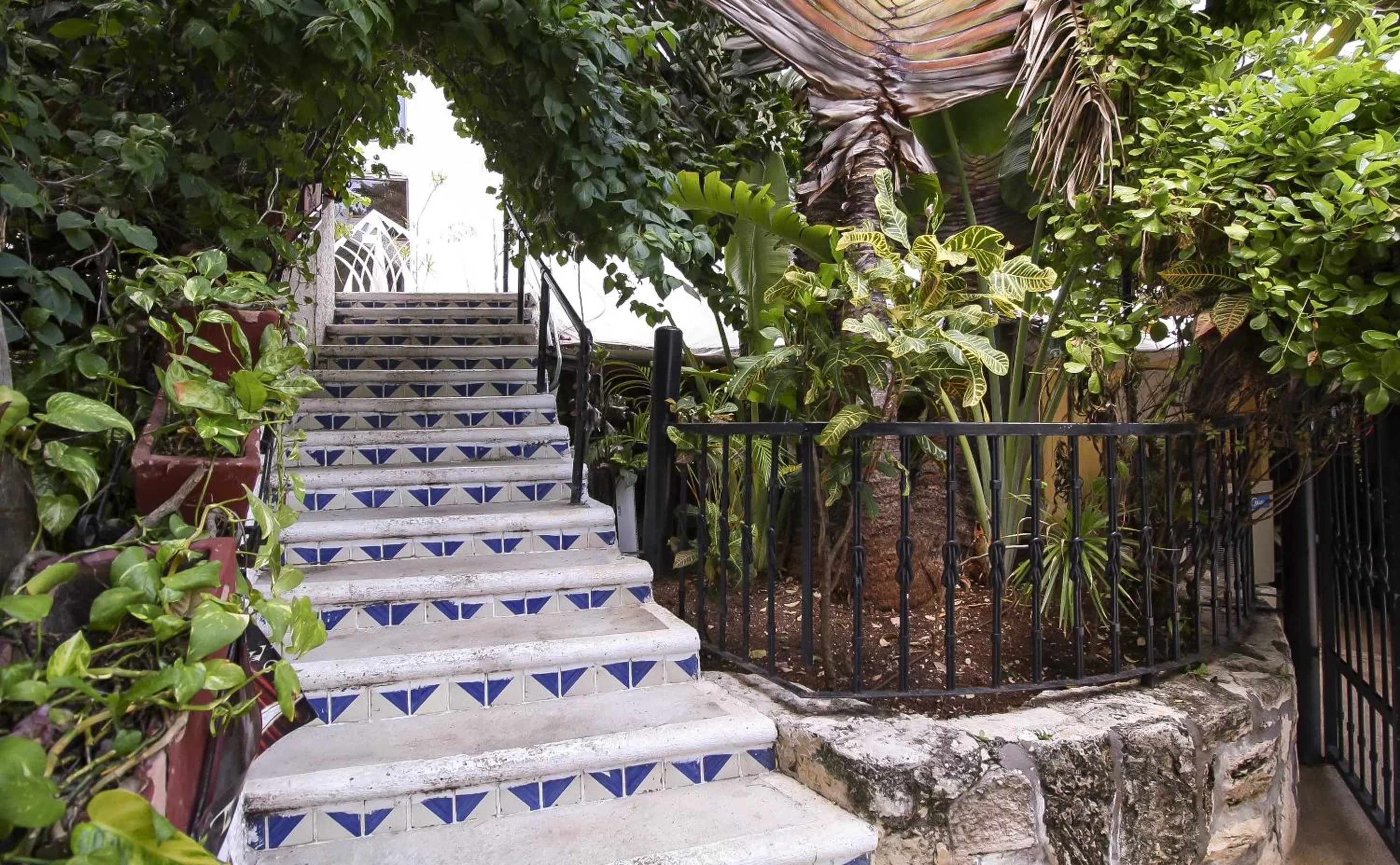 Garden in Hotel Xbalamqué & Spa Cancún Centro