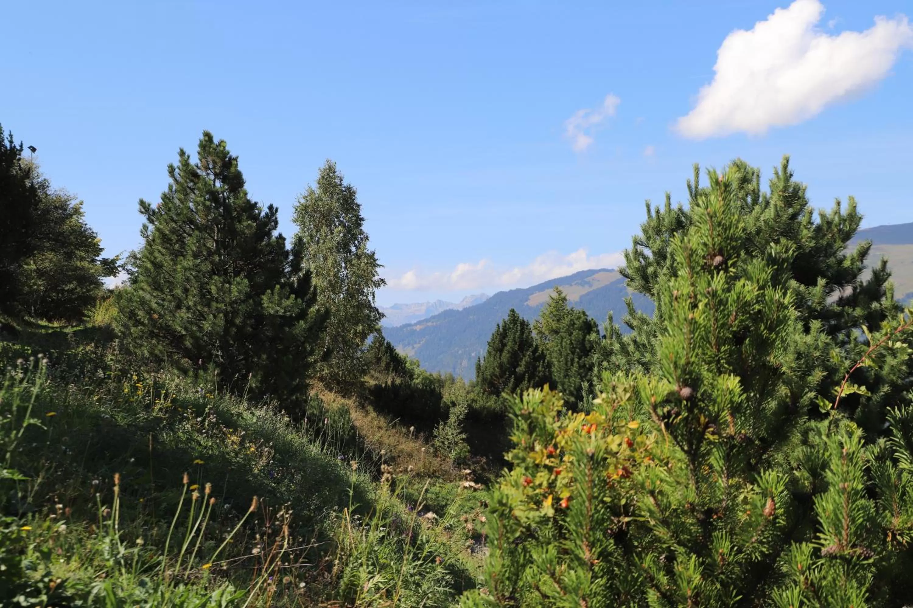 Natural landscape in SOWELL Family La Lauzière