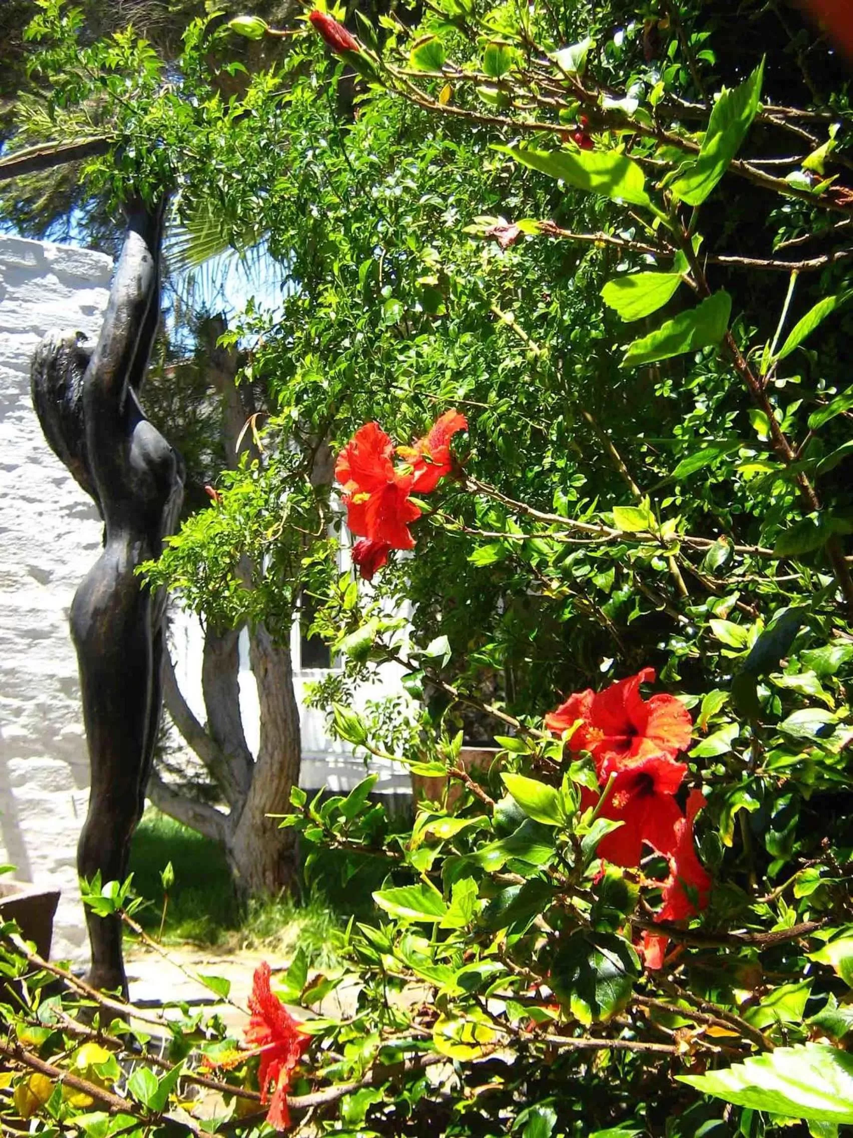 Garden in Alternative Space B & B