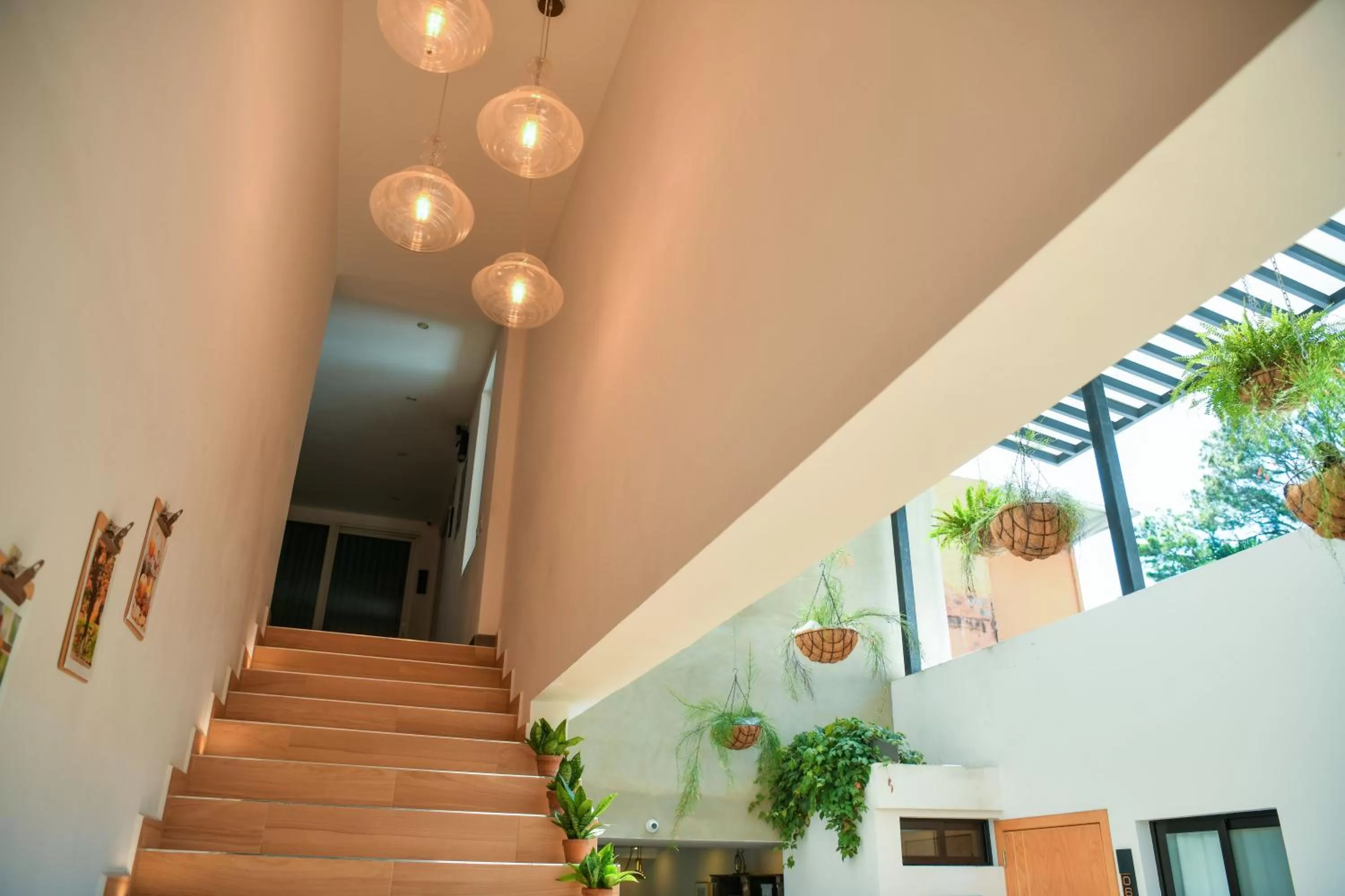 Area and facilities in Kaleo Hotel Boutique