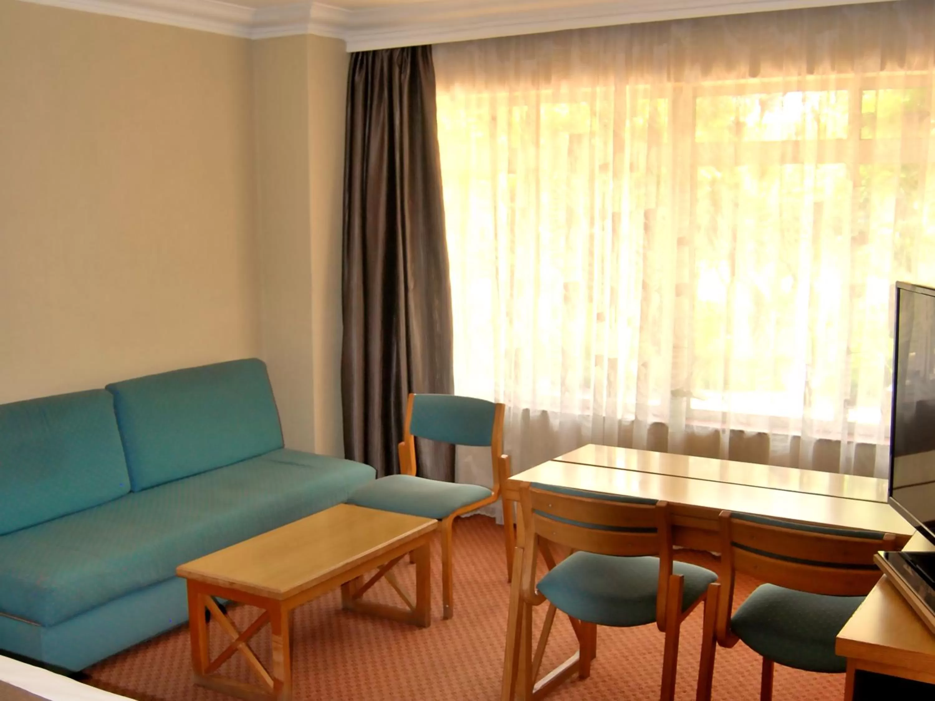 TV and multimedia in Safari Hotel & Convention Centre