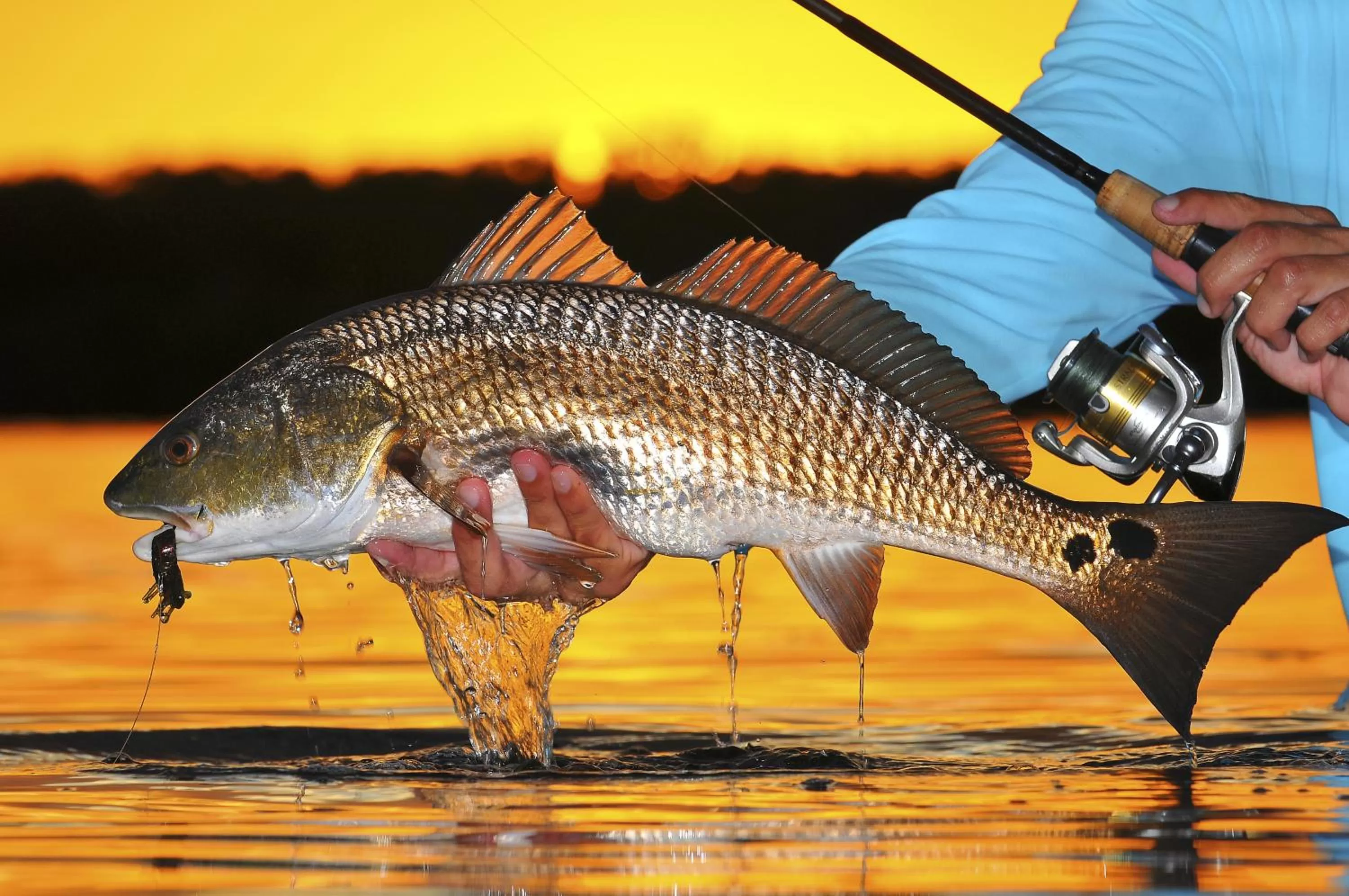 River view in Black Dolphin Inn