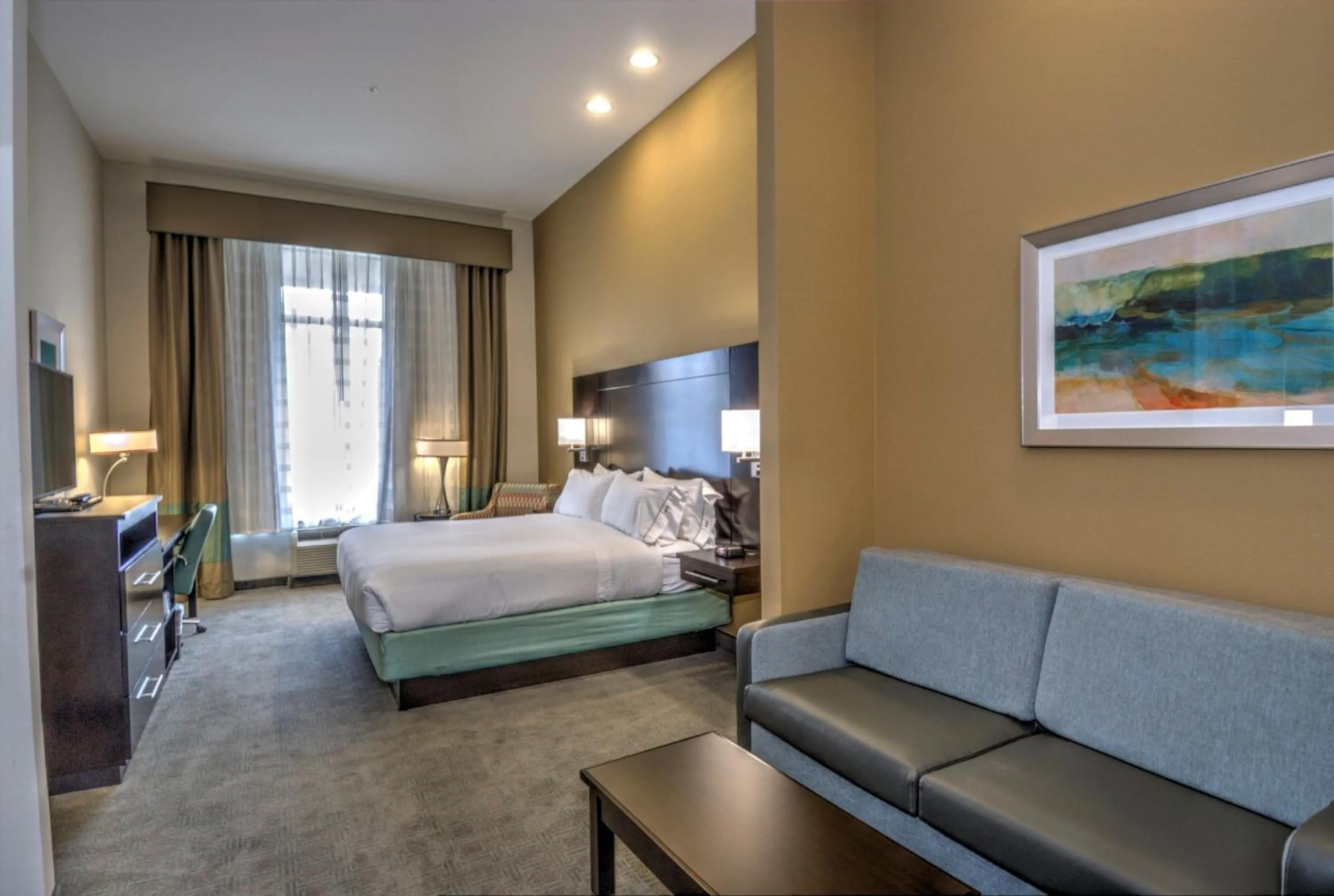 Deluxe King Room - Hearing Accessible  in Holiday Inn Express & Suites Austin South, an IHG Hotel