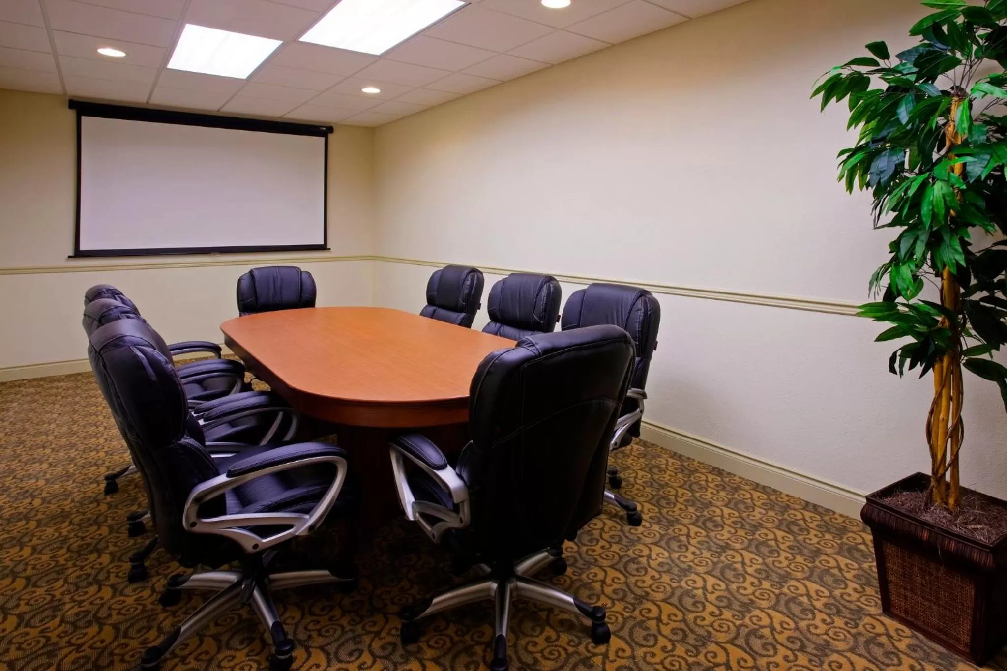 Meeting/conference room in Holiday Inn Express Hotel & Suites 1000 Islands - Gananoque by IHG